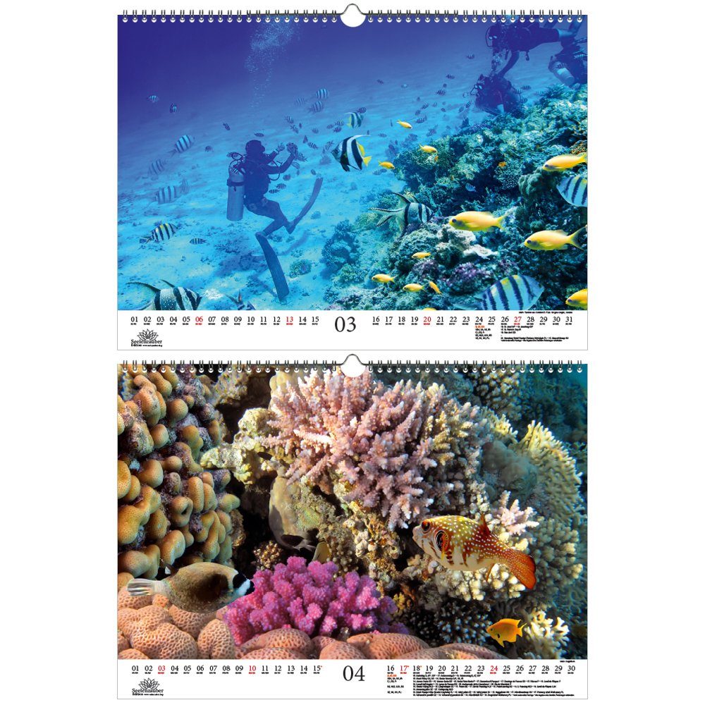 Unterwasserzauber DIN A3 Kalender für 2022 Unterwasser Seelenzauber 