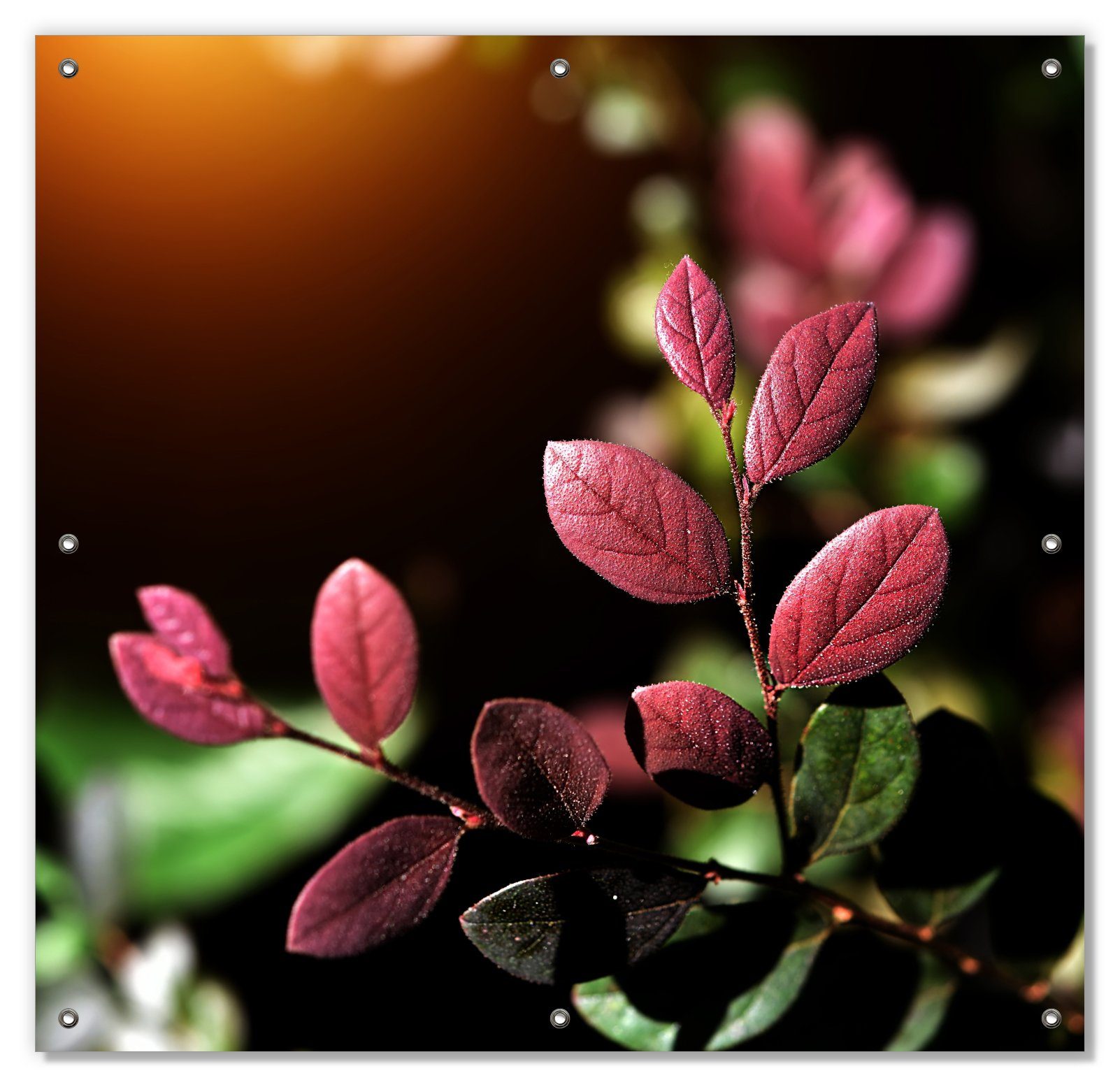 Sonnenschutz Rote und grüne Blätter an einem Zweig, Wallario, blickdicht, mit Saugnäpfen, wiederablösbar und wiederverwendbar
