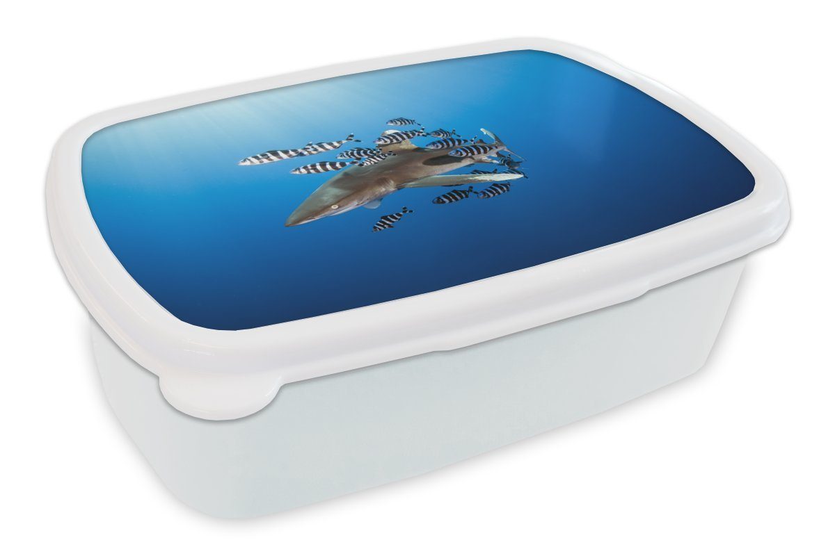 Brotbox Brotdose, mit MuchoWow und Fisch, Hai Kinder (2-tlg), für Jungs Erwachsene, Lunchbox weiß Kunststoff, für und Mädchen
