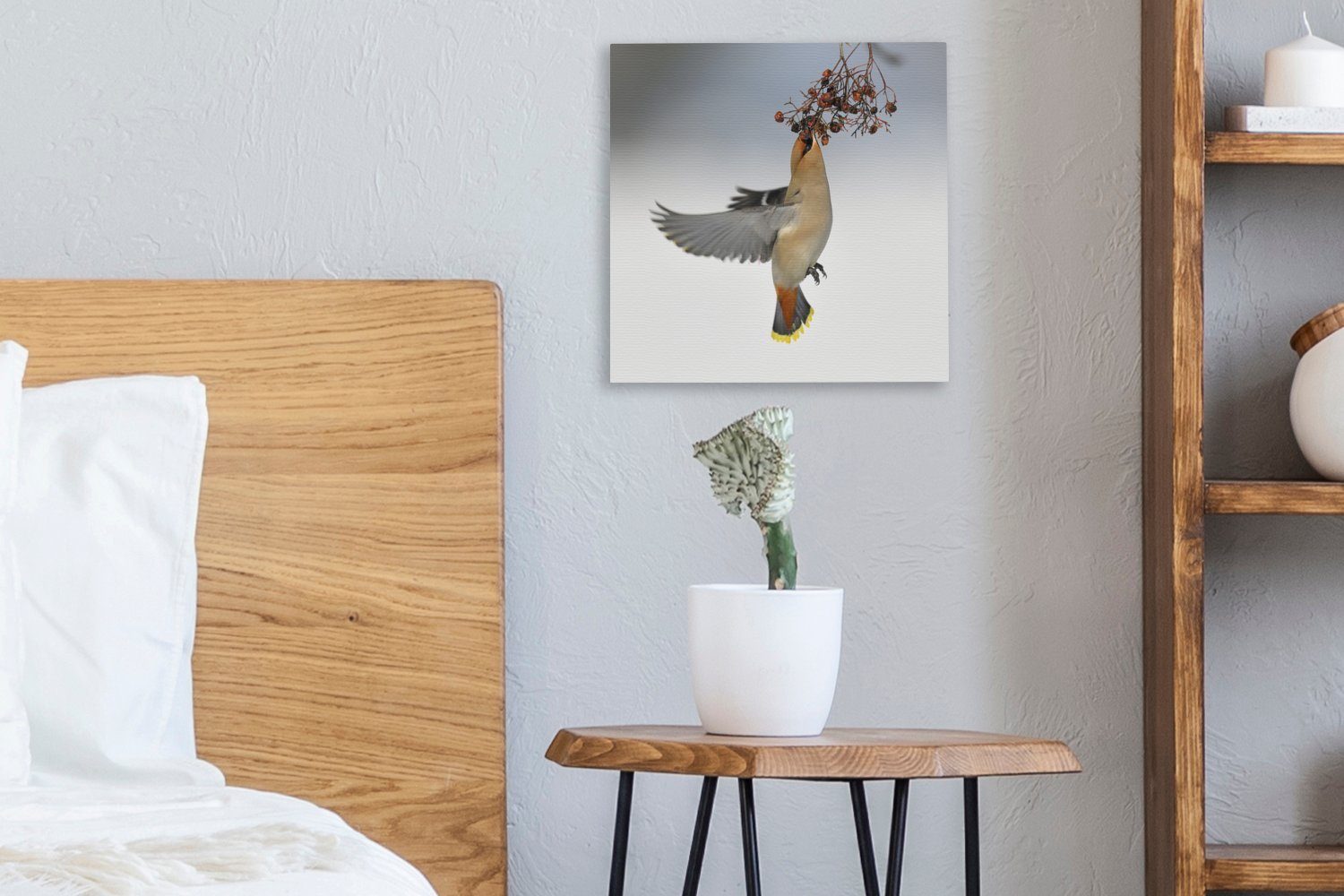 OneMillionCanvasses® Leinwandbild Fliegender St), Pestvogel Bilder Leinwand für (1 frisst Schlafzimmer Wohnzimmer Beeren