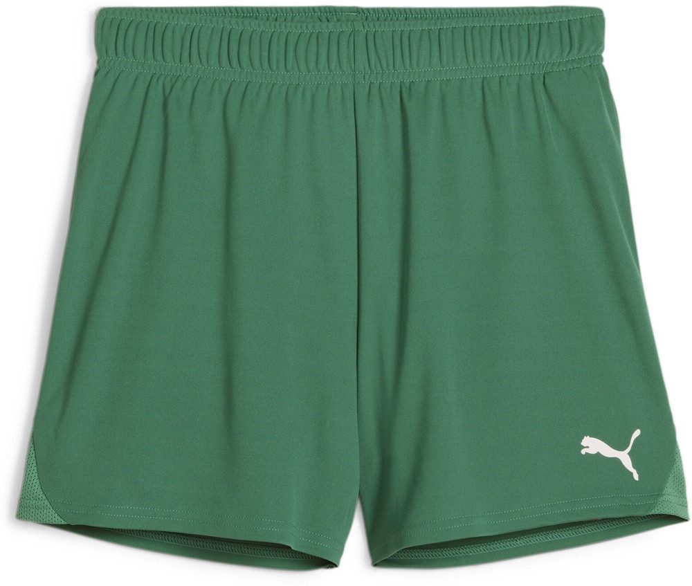 PUMA Sporthose TeamGoal Handball Shorts W