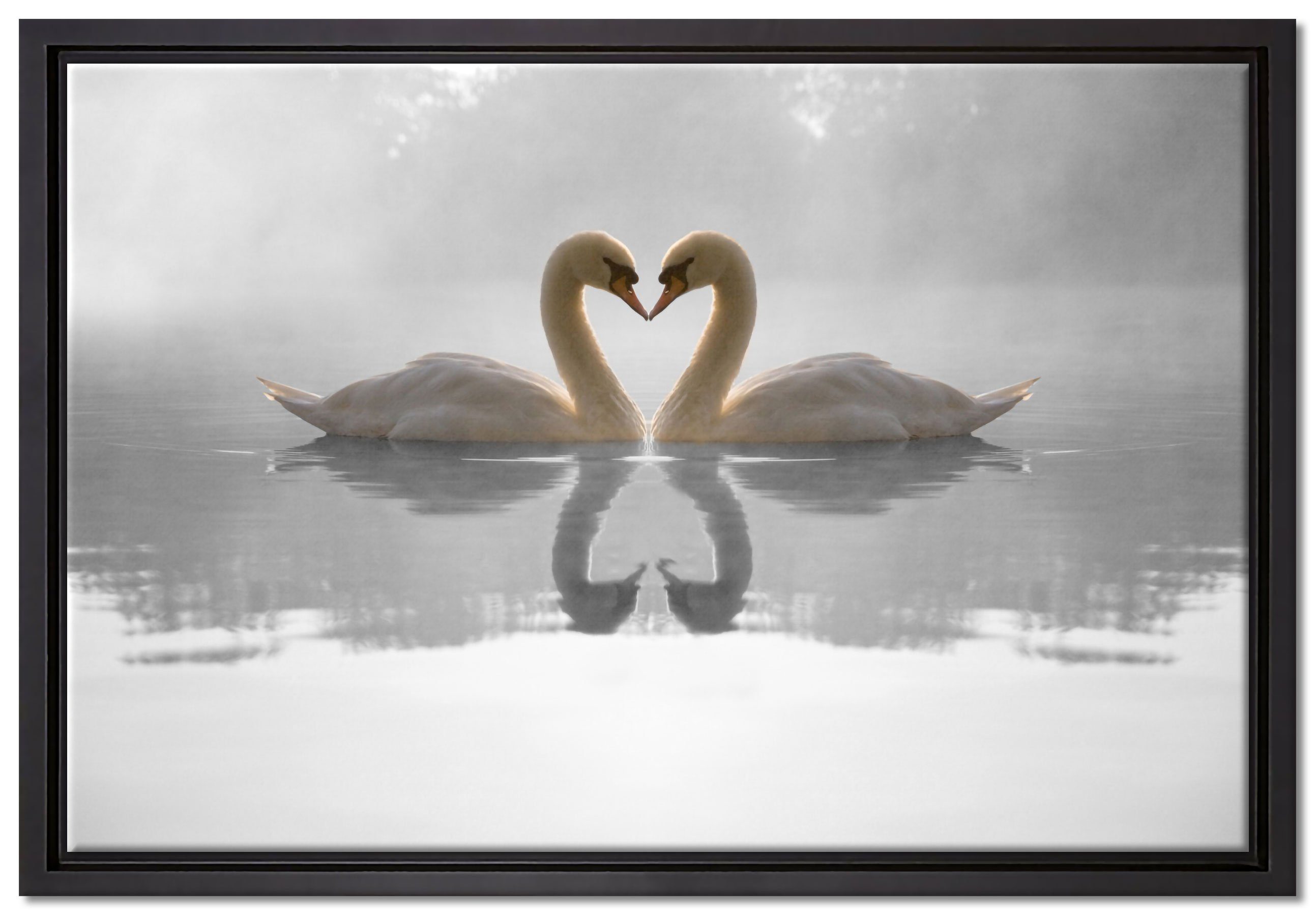 Pixxprint Leinwandbild verliebte Schwäne auf See, Wanddekoration (1 St), Leinwandbild fertig bespannt, in einem Schattenfugen-Bilderrahmen gefasst, inkl. Zackenaufhänger