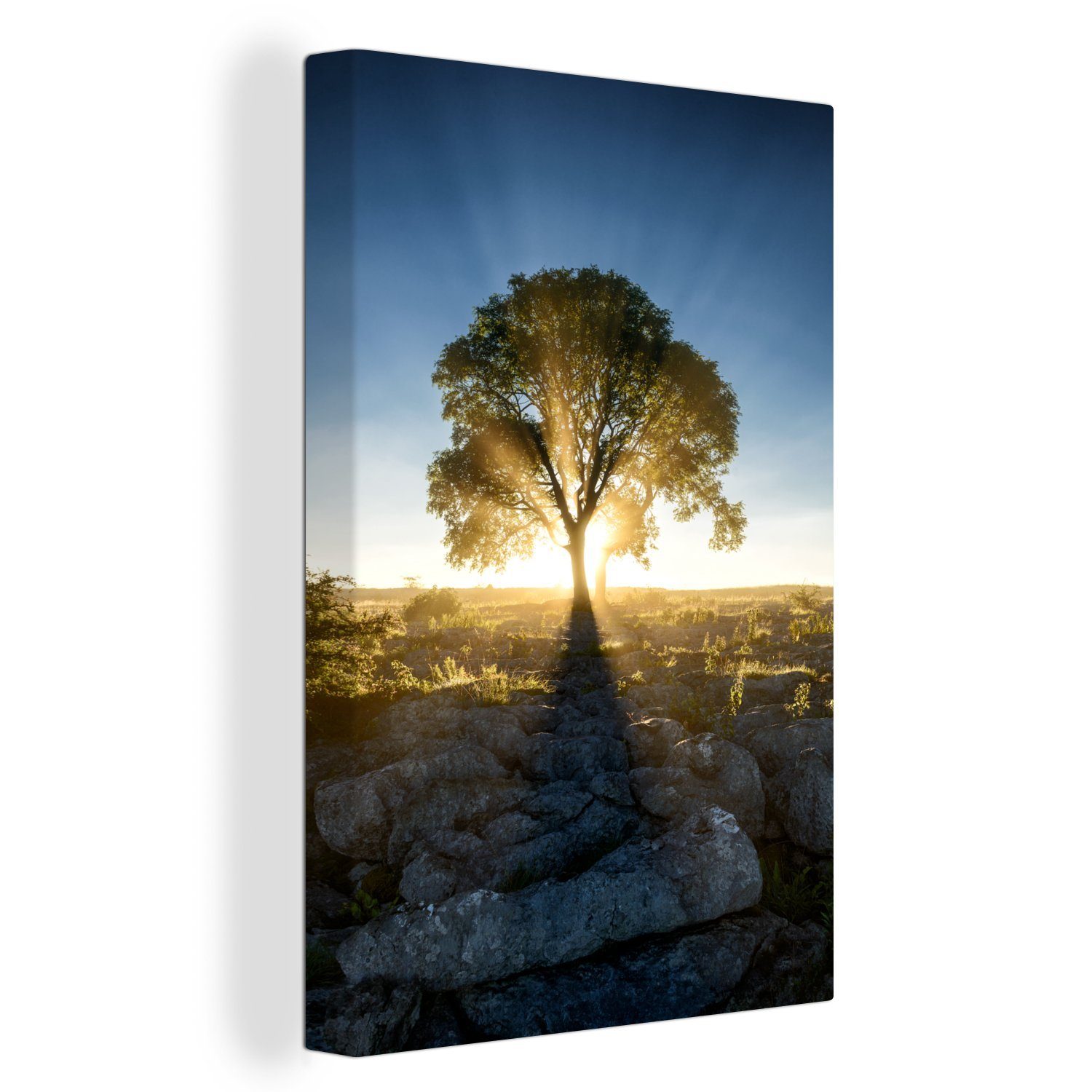 OneMillionCanvasses® Leinwandbild Sonnenstrahlen entlang eines Baumes an einem nebligen Morgen, (1 St), Leinwandbild fertig bespannt inkl. Zackenaufhänger, Gemälde, 20x30 cm