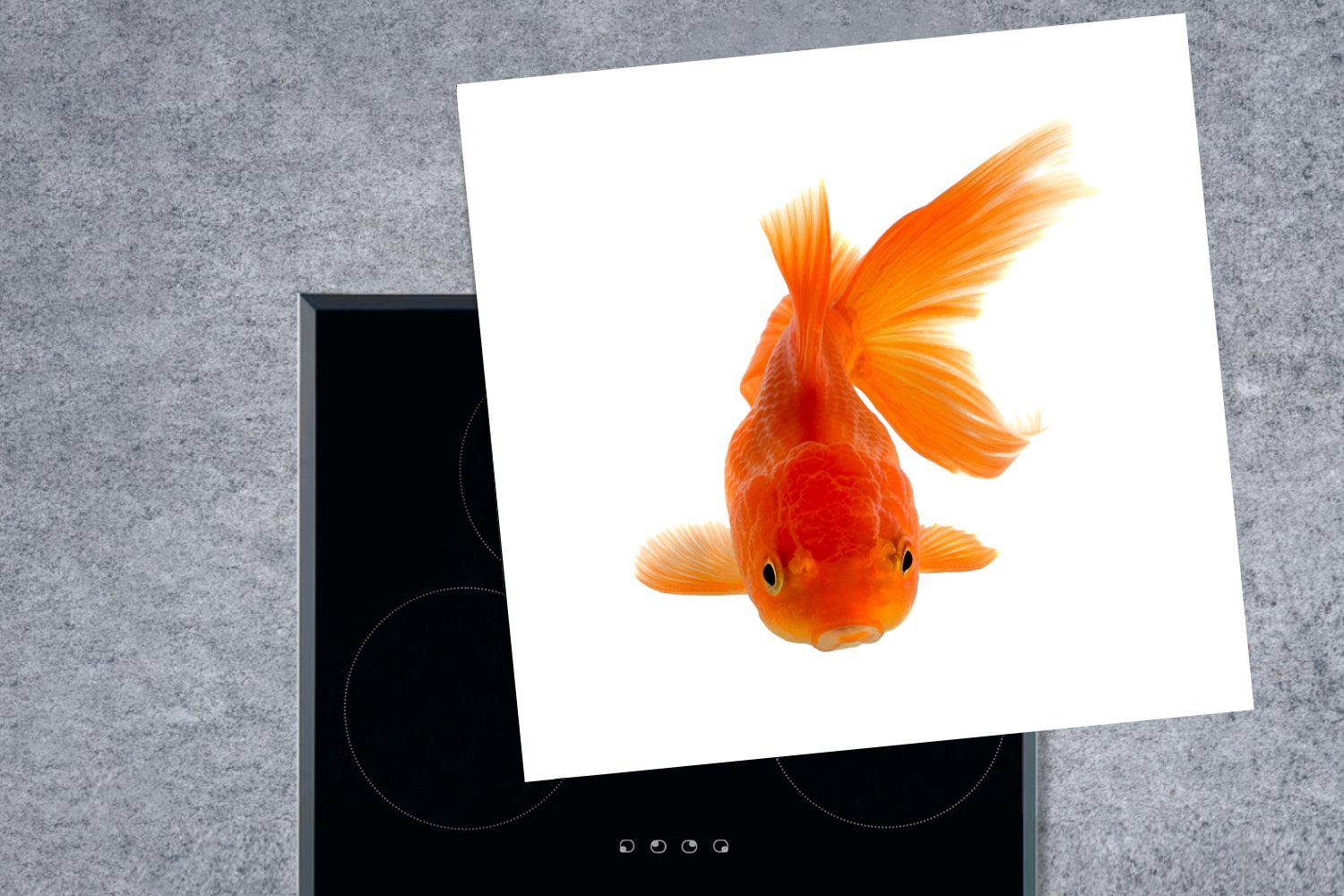 - Goldfisch für Arbeitsplatte 78x78 cm, Herdblende-/Abdeckplatte Vinyl, (1 tlg), küche Ceranfeldabdeckung, Meerestiere - MuchoWow Orange,