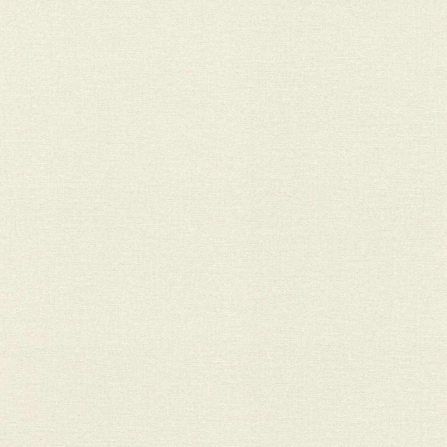 Vliestapete 555820 Tapete Uni Einfarbig 53 x 1005 cm Rasch Lirico Weiß