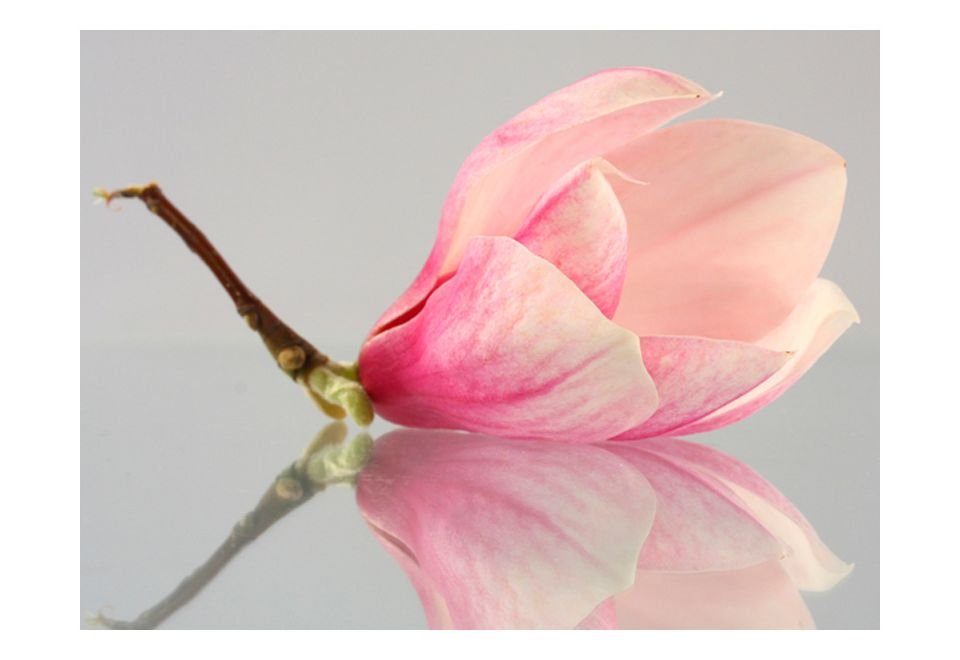 KUNSTLOFT Vliestapete Einsame Magnolienblüte 3x2.31 m, lichtbeständige halb-matt, Design Tapete