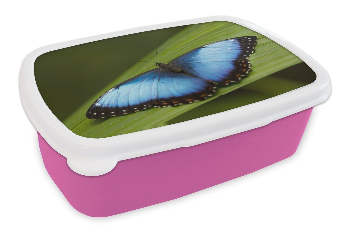 rosa Erwachsene, Mädchen, auf für MuchoWow Kinder, Kunststoff Kunststoff, Snackbox, Morpho Brotbox Brotdose Blatt, Lunchbox (2-tlg), Schmetterling