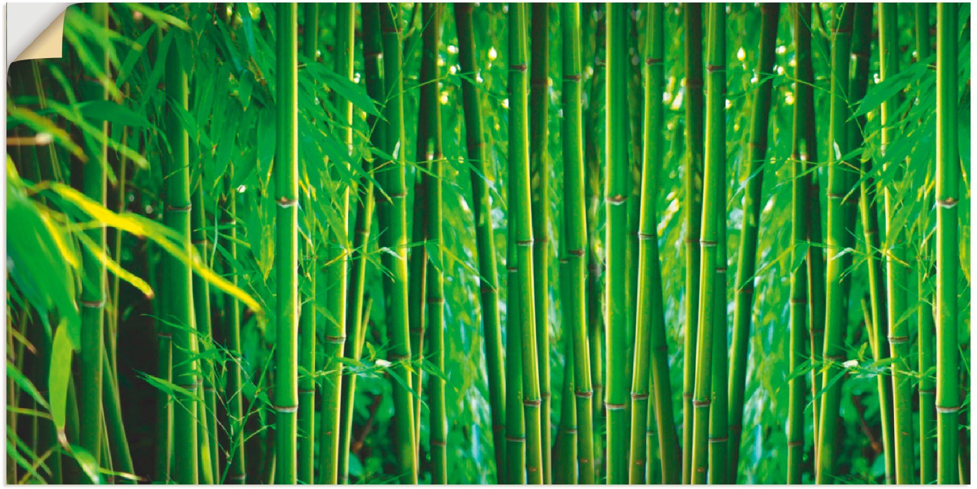 Artland Wandbild Bambus II, Gräser (1 St), als Leinwandbild, Wandaufkleber oder Poster in versch. Größen
