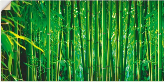 Artland Wandbild »Bambus II«, Gräser (1 Stück), in vielen Größen & Produktarten -Leinwandbild, Poster, Wandaufkleber / Wandtattoo auch für Badezimmer geeignet-Otto