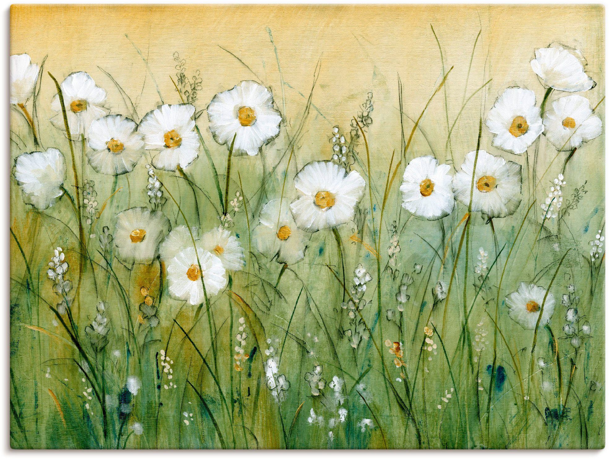 Artland Wandbild Gänseblümchenfrühling II, Blumen (1 St), als Alubild, Leinwandbild, Poster in verschied. Größen