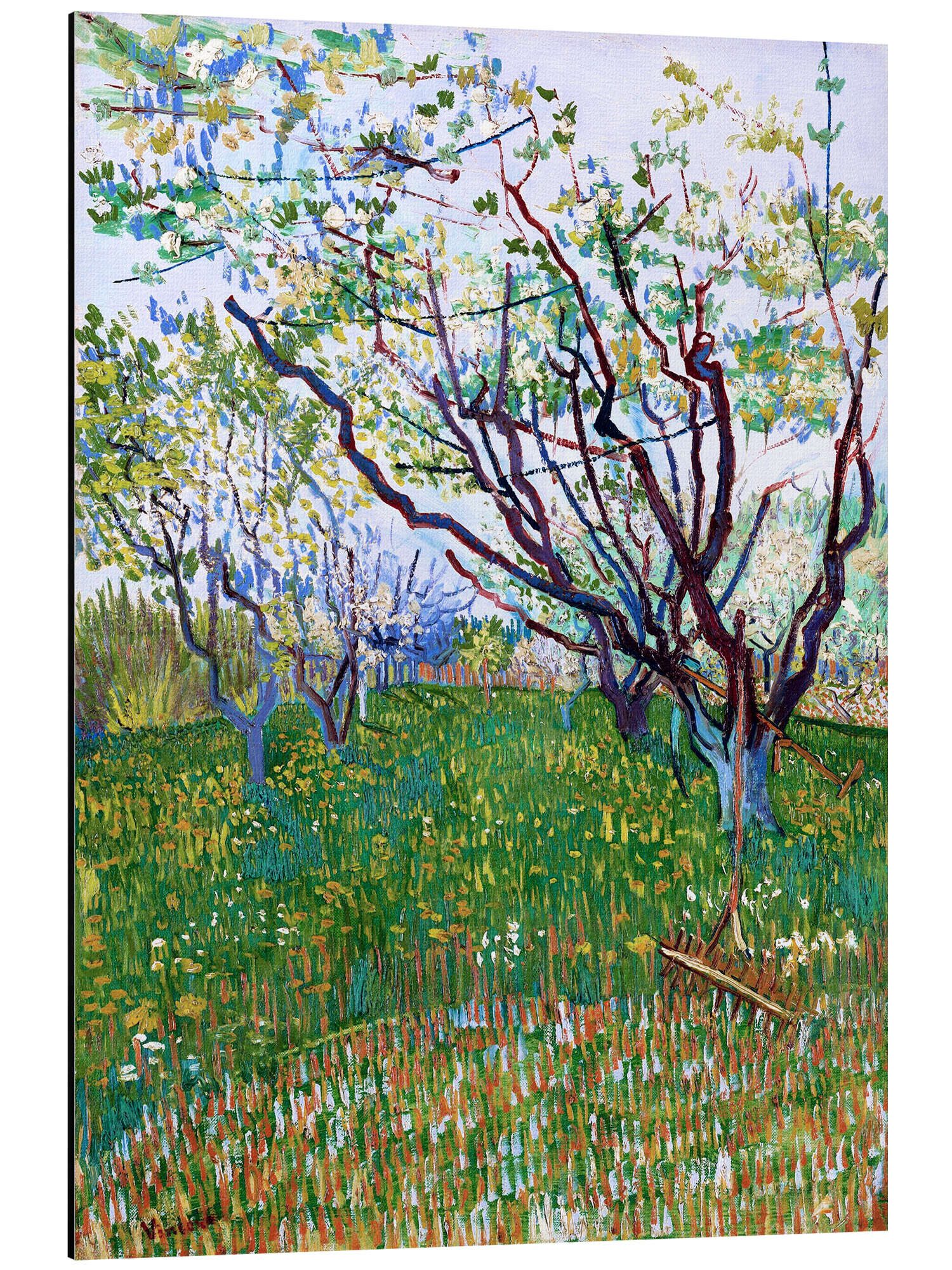 Posterlounge Wandbild Obstgarten in der Blüte, Vincent van Gogh, erhältlich als Poster, Leinwandbild, Wandsticker oder Acrylglasbild