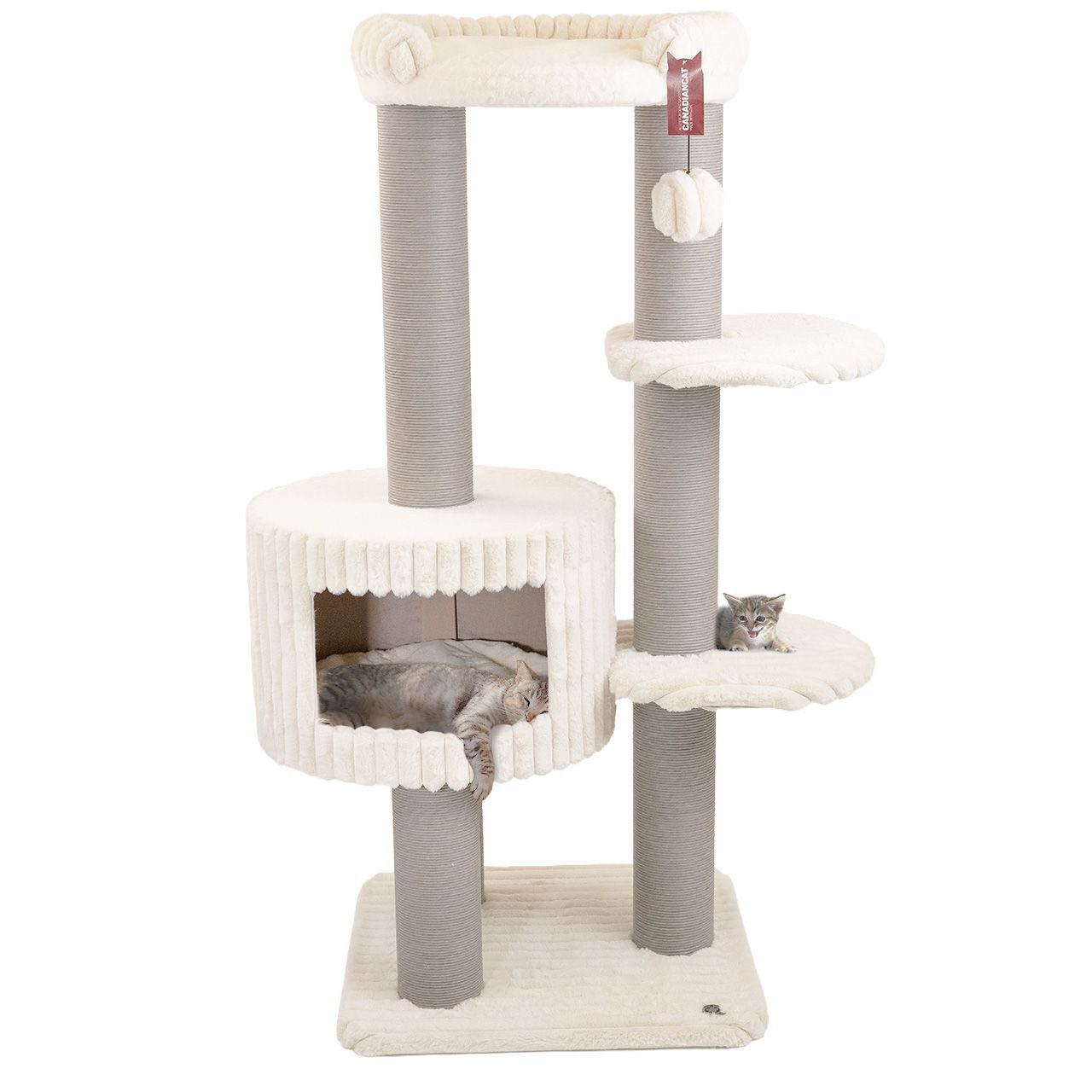 Canadian Cat Company Kratzbaum Edward, Katzenmöbel, Kletterturm, ca. 68 x 68 x 158 cm