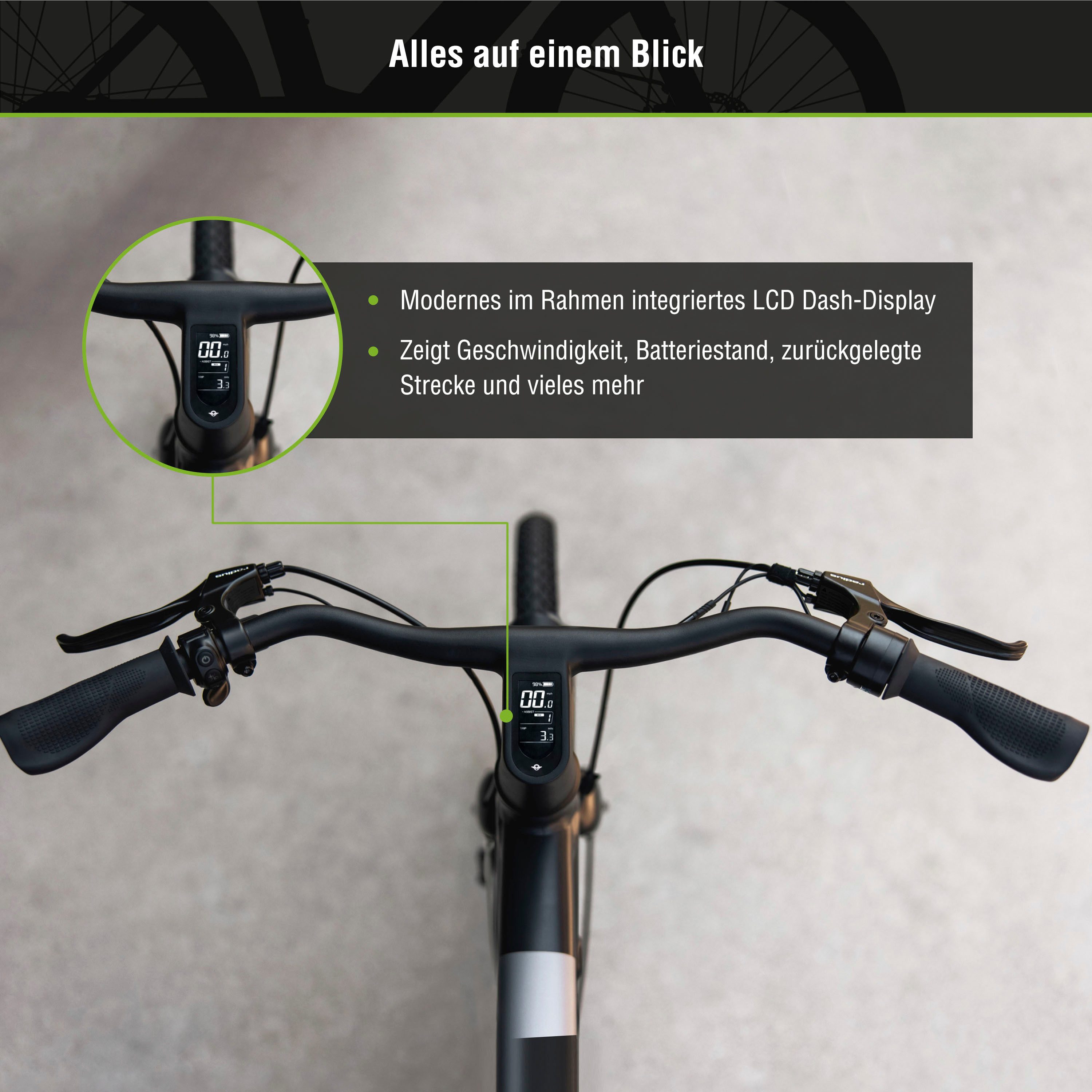 SachsenRAD E-Bike Cityrad C6R, 1 Gang, ohne Schaltung, Heckmotor, 348 Wh, Pedelec, Elektrofahrrad für Damen und Herren