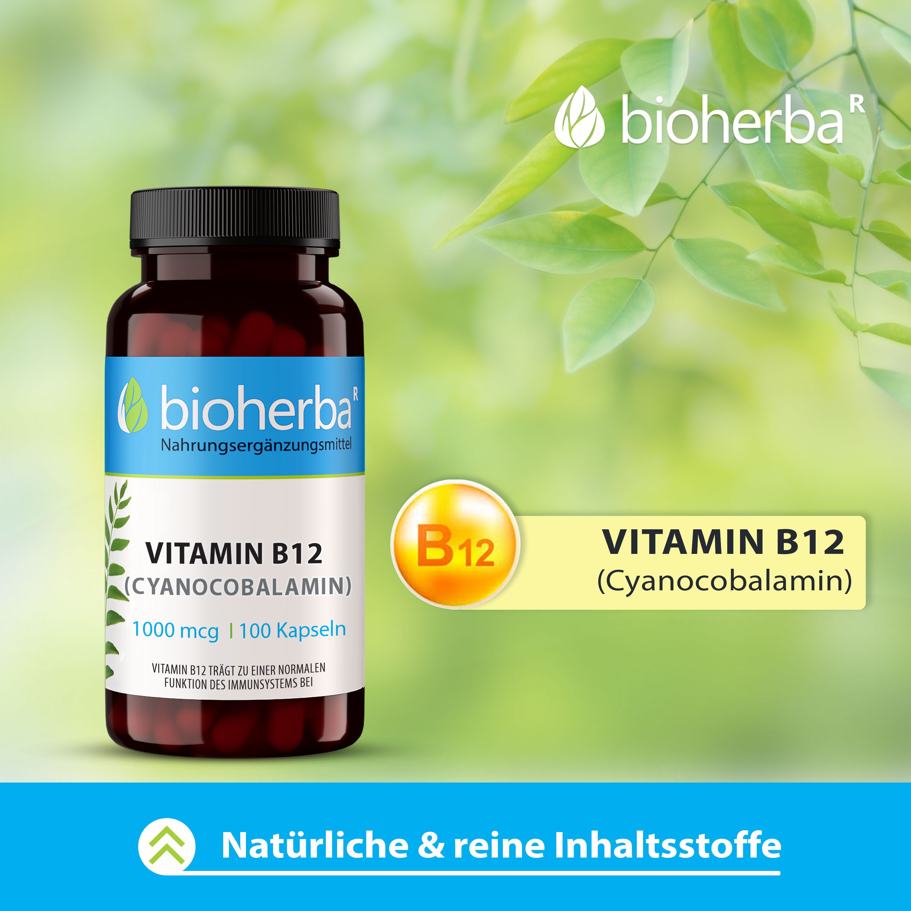 BIOHERBA R Bioherba Vitamin B12 (Cyanocobalamin) 500 mcg 100 Kapseln Tropfen, 1 er