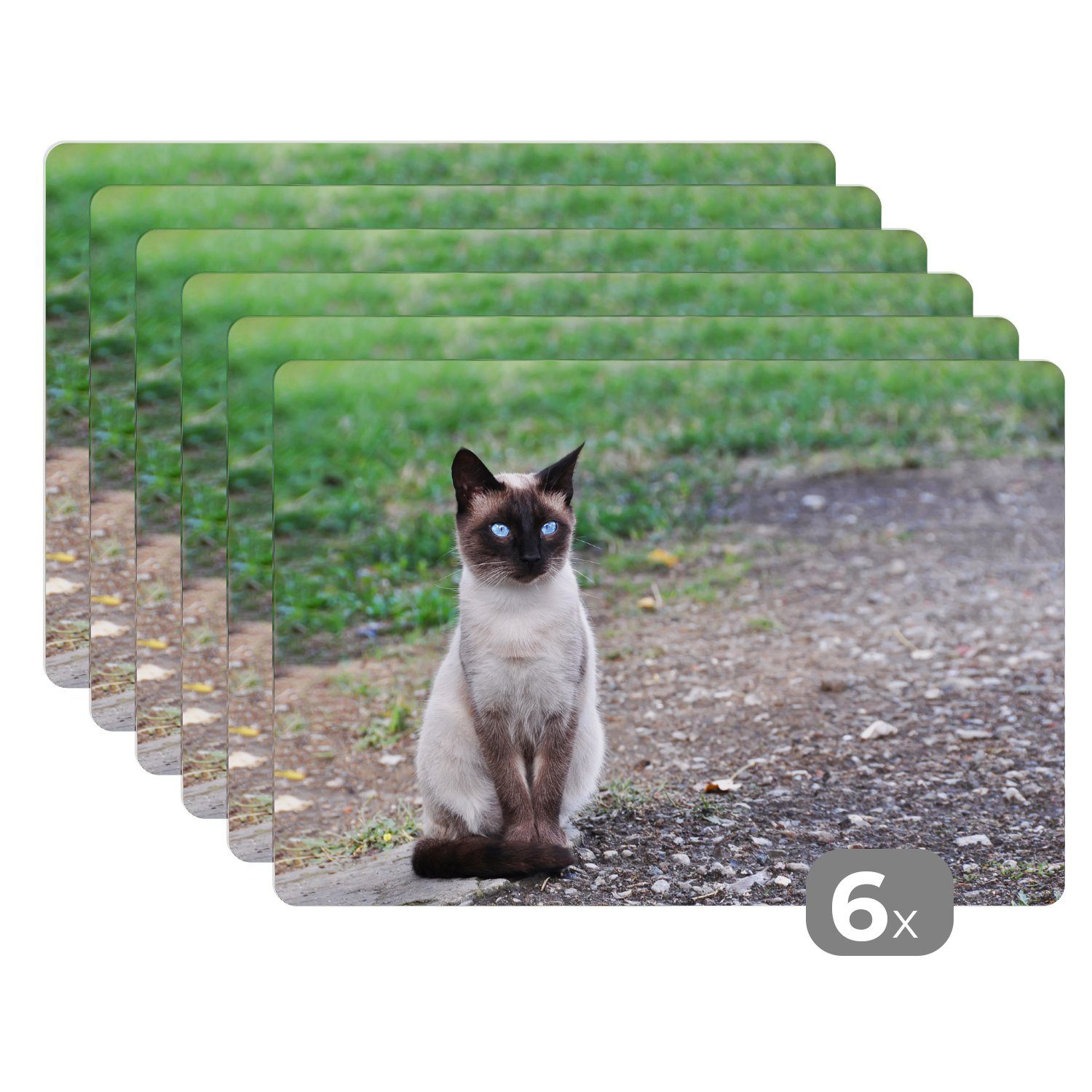 Platzset, Siamesische Katze sitzt auf Platzmatte, MuchoWow, Platzdecken, einer (6-St), Schmutzabweisend Tischmatten, Kröte, Platzset