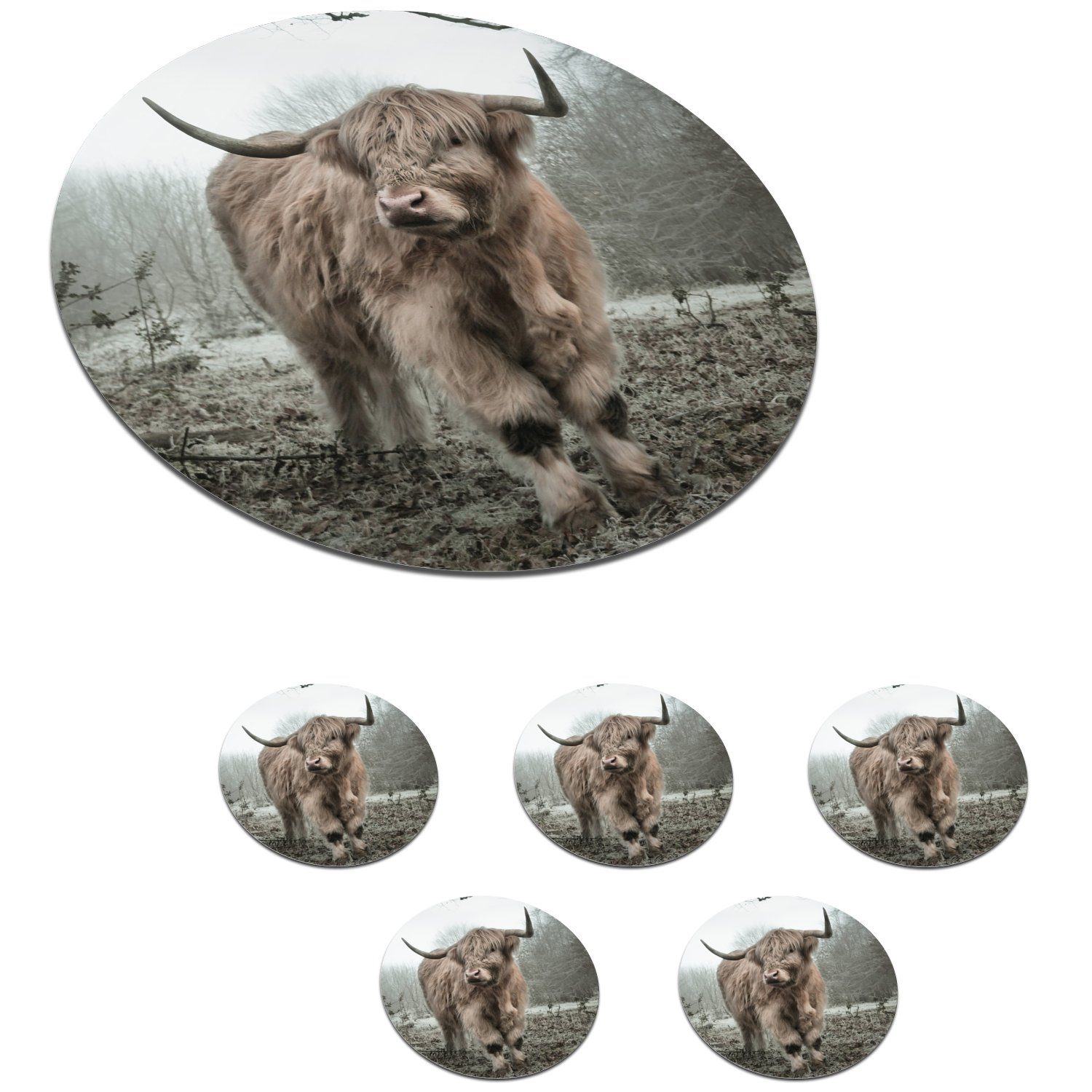 Highlander für Tiere MuchoWow - Kuh 6-tlg., Korkuntersetzer, Tassenuntersetzer, Gläser, Natur, Tasse, - Becher Glasuntersetzer - - Schottischer Wald Nebel - Getränkeuntersetzer, Zubehör