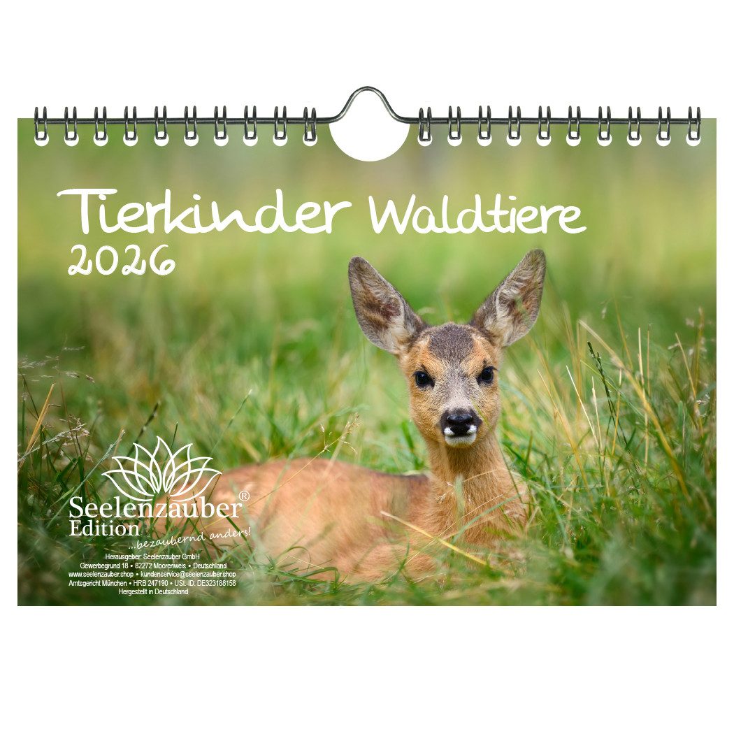 Seelenzauber Wandkalender Tierkinder Waldtiere DIN A5 Kalender für 2026 TiereWald - Seelenzauber