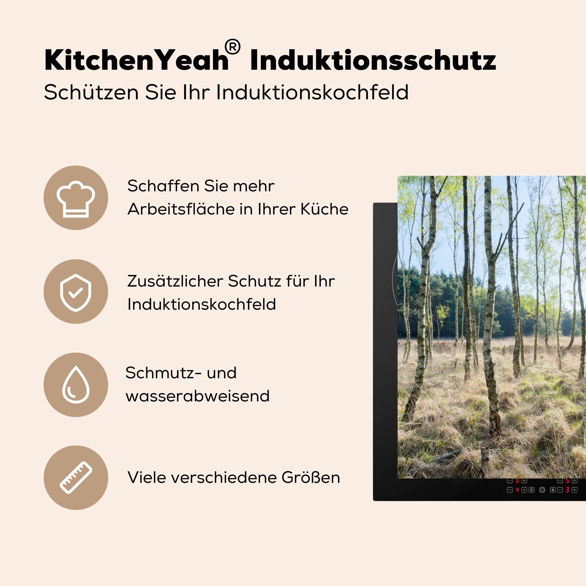 Ceranfeldabdeckung, Bäume Herdblende-/Abdeckplatte Europa küche Arbeitsplatte - cm, Vinyl, (1 78x78 für tlg), MuchoWow Wald, -