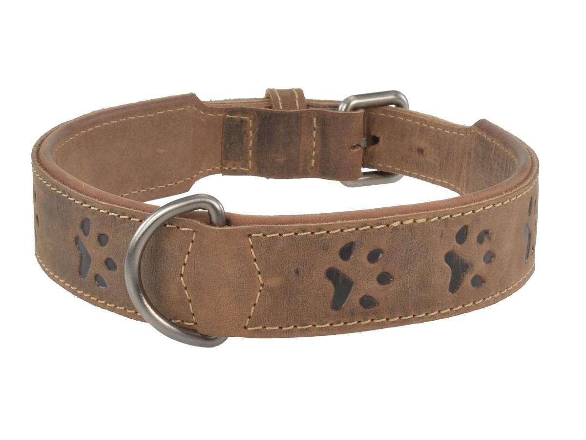 Greenburry Hunde-Halsband "Vintage" Leder antikbraun, Rindleder, Halsband Hunde, 41-48cm, doppellagig, innen umgeschlagende Kante
