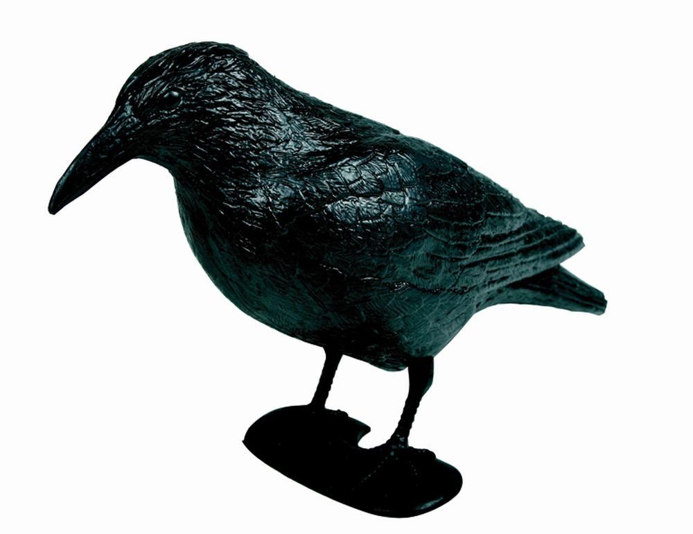 Vogel-Schreck