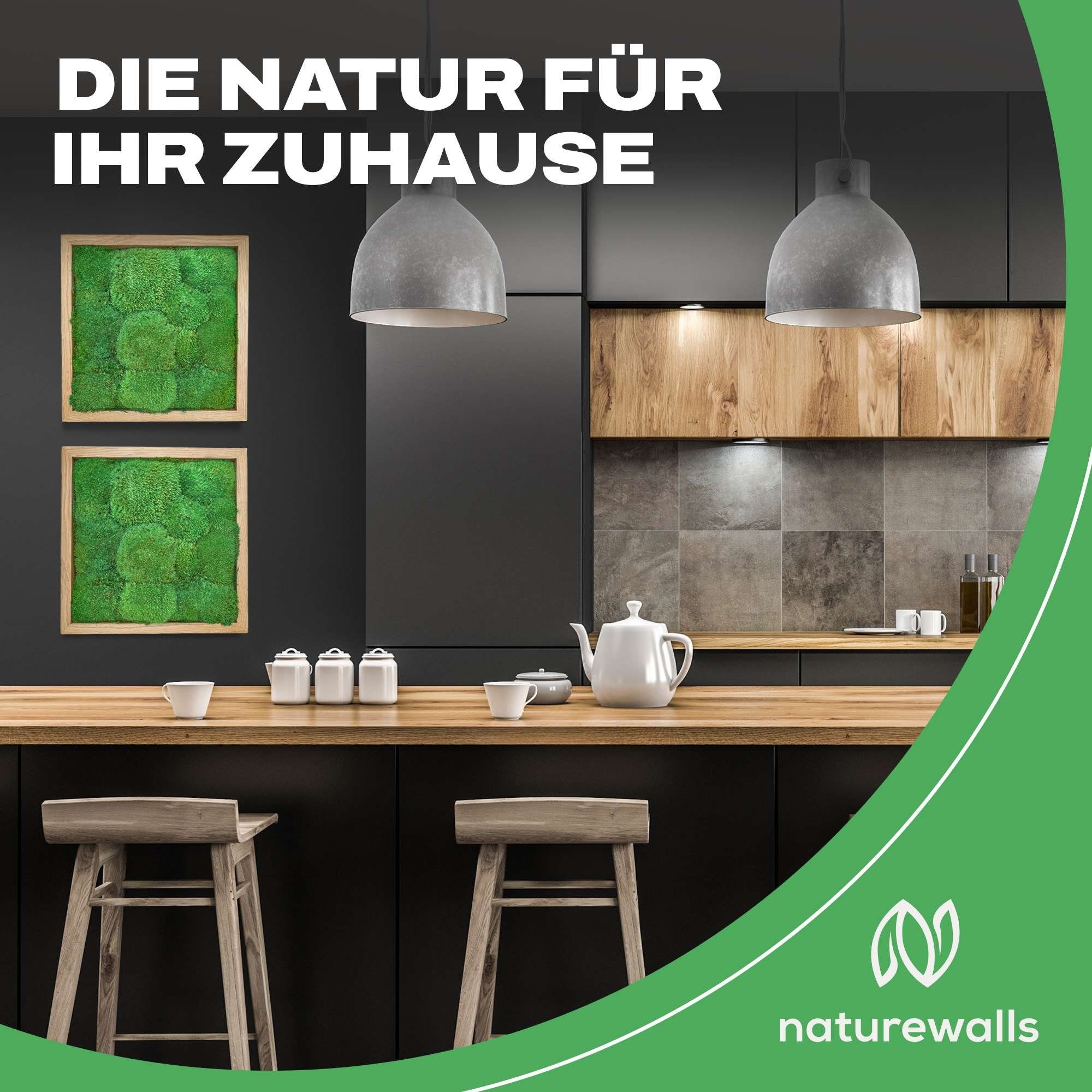 naturewalls Bild Moosbild Kugelmoos - Pflanzenbild günstig online kaufen