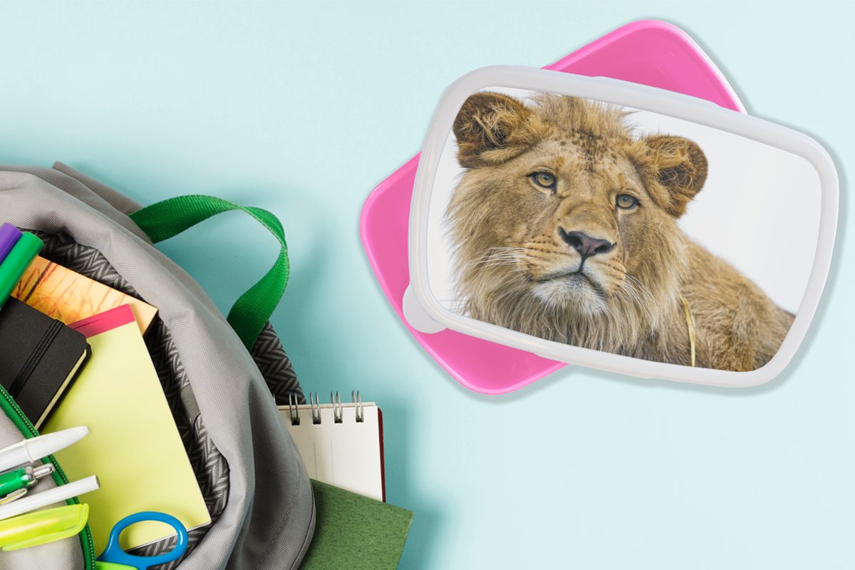 Kunststoff Snackbox, Brotdose Kinder, - rosa Brotbox Löwe Erwachsene, (2-tlg), Mädchen, für Kunststoff, MuchoWow - Porträt, Lunchbox Weiß