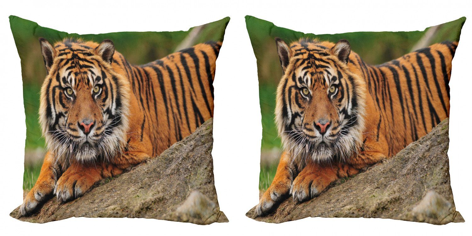 Kissenbezüge Modern Accent Doppelseitiger Digitaldruck, Abakuhaus (2 Stück), Tiger Crouching Tiger auf Felsen