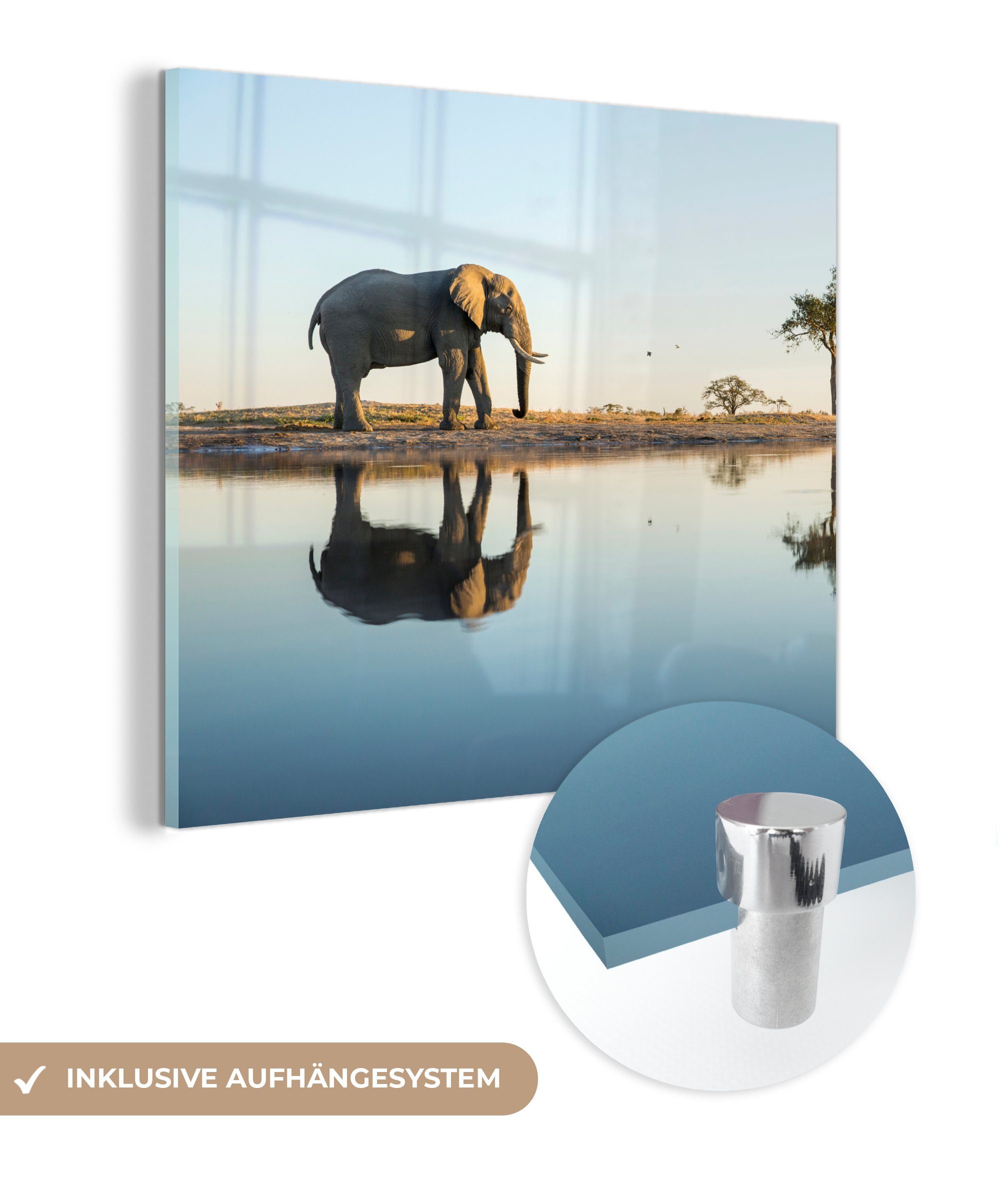 MuchoWow Acrylglasbild Elefant - Wasser - Bäume - Tiere - Natur, (1 St), Glasbilder - Bilder auf Glas Wandbild - Foto auf Glas - Wanddekoration | Bilder