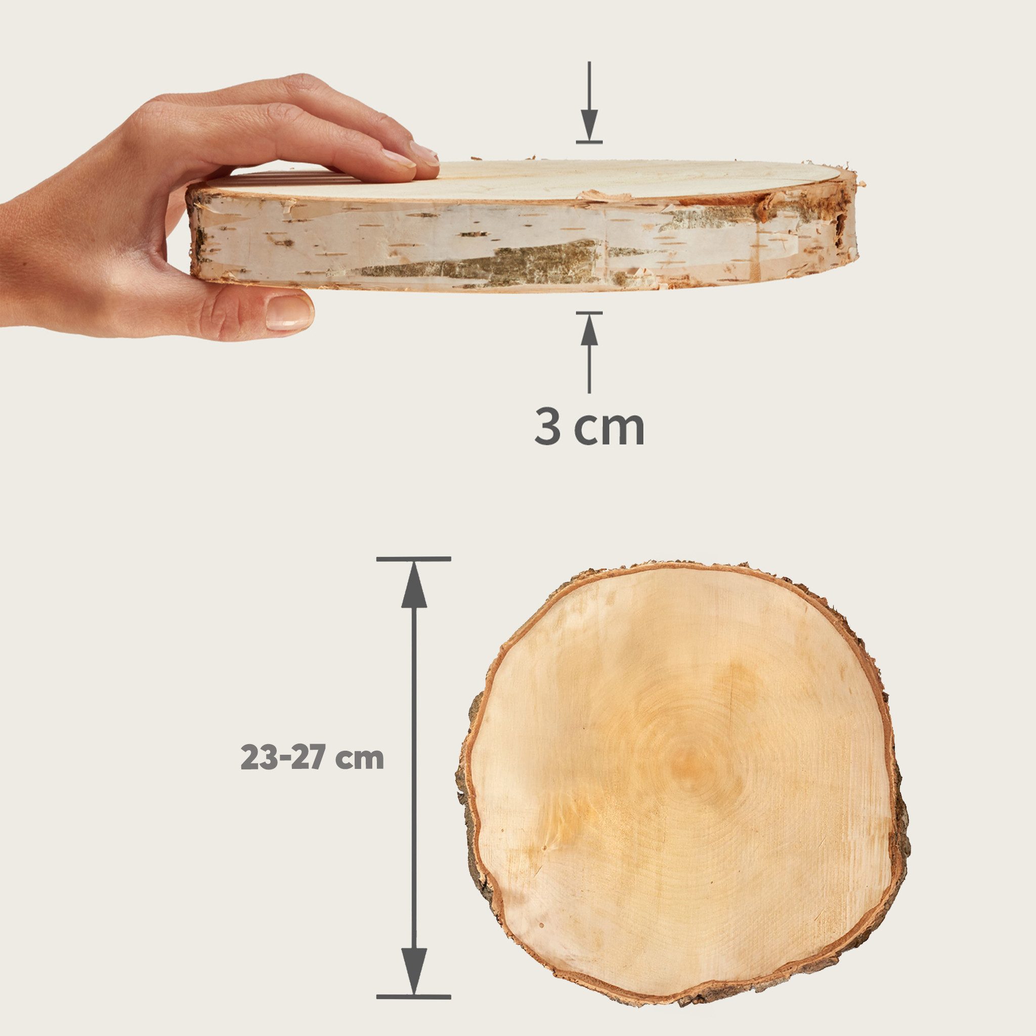 matches21 HOME & HOBBY Bastelnaturmaterial Große 25 cm Baumscheibe 1 Stk. zum Holz-Deko Basteln, (1-tlg), runde Holzscheiben aus massivem EU Birkenholz