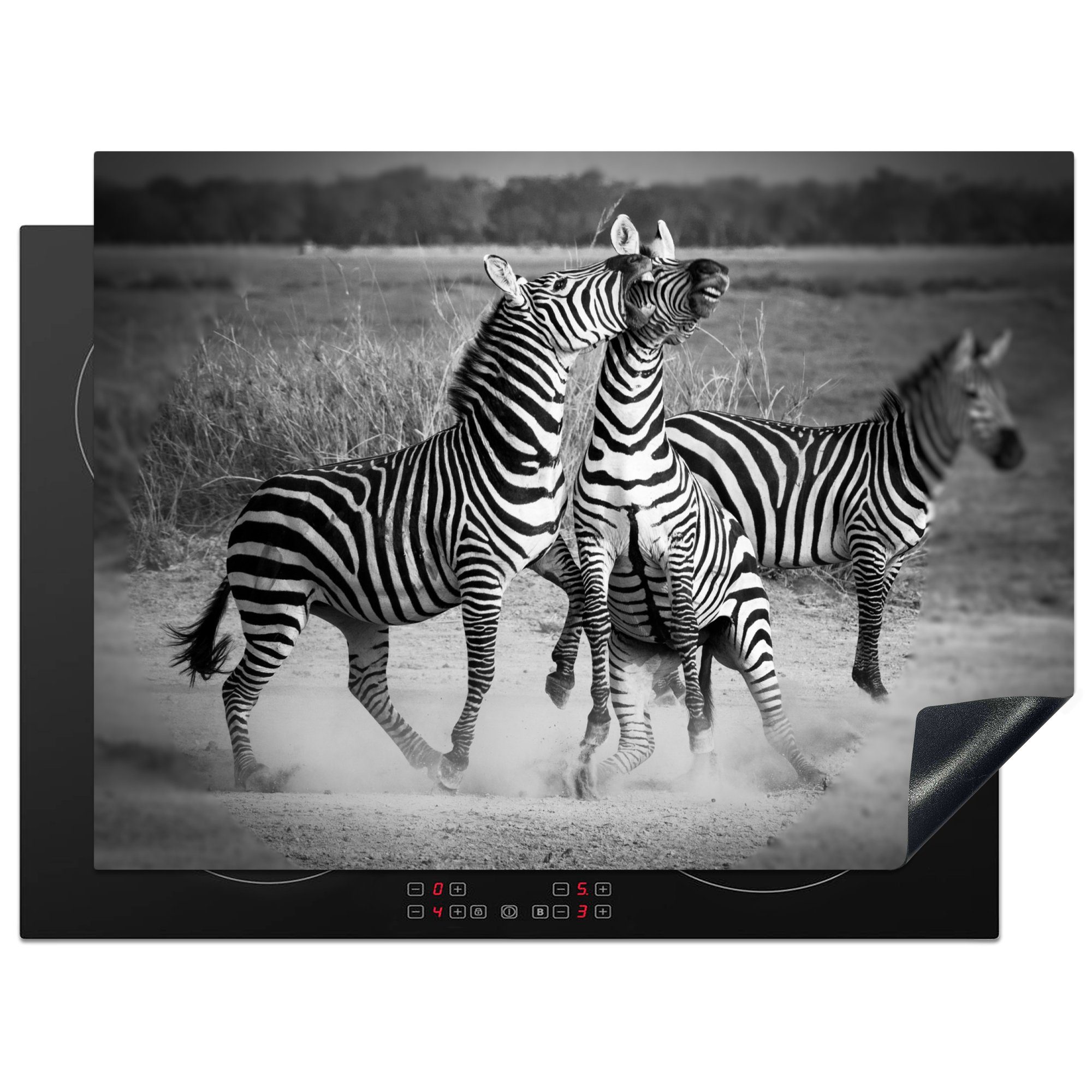 tlg), MuchoWow Zebras, Ceranfeldabdeckung Mobile Kämpfende cm, Arbeitsfläche nutzbar, 70x52 Vinyl, Herdblende-/Abdeckplatte (1