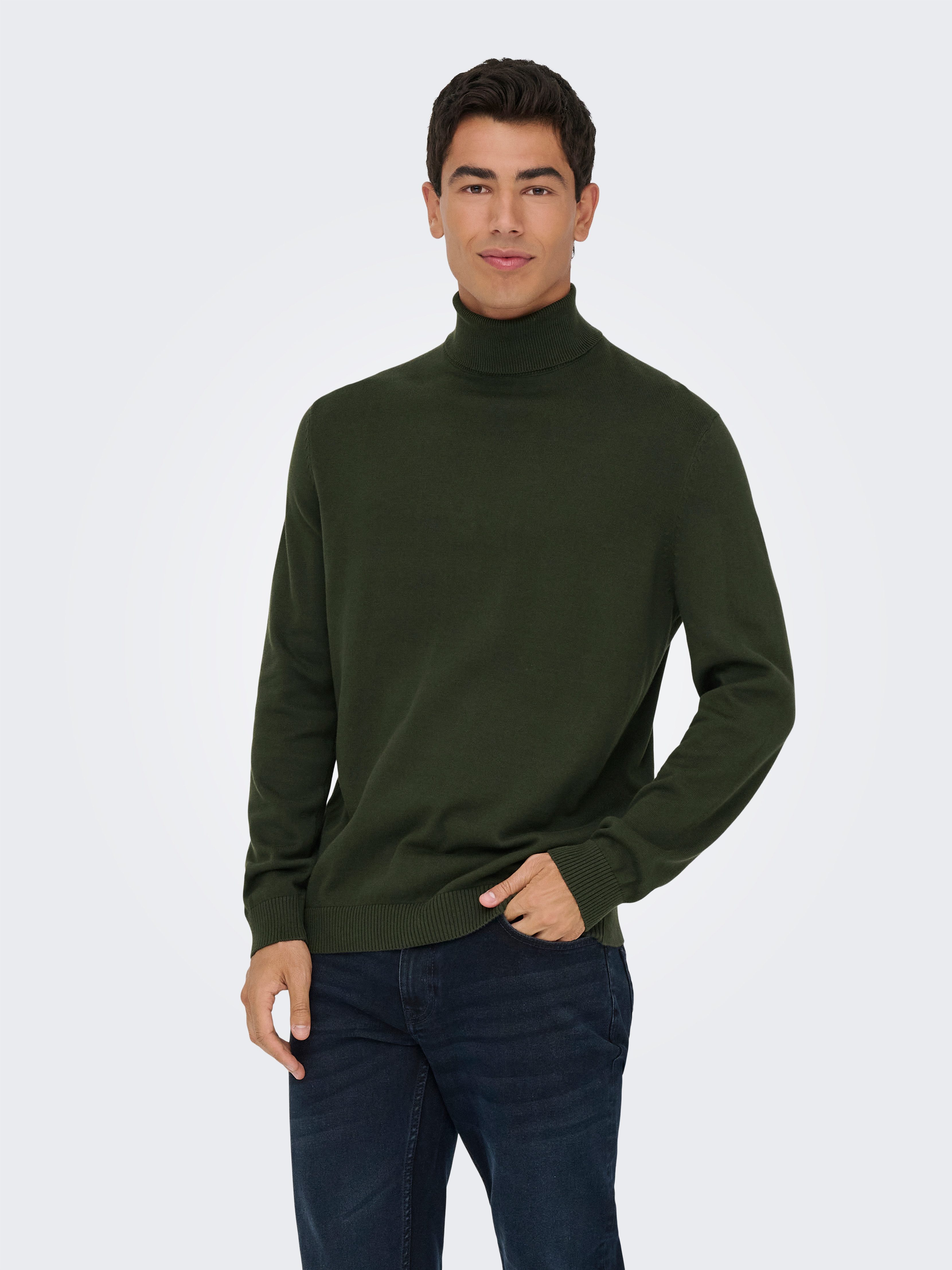 ONLY & SONS Rollkragenpullover ONSHOLGER REG ROLL NECK KNIT - OTL günstig online kaufen