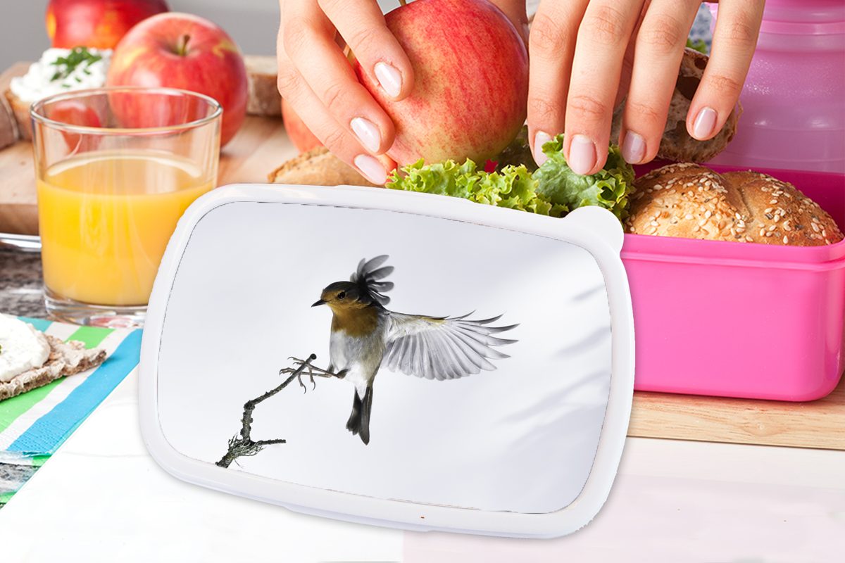 Nahaufnahme Kunststoff Brotdose Snackbox, (2-tlg), für Kunststoff, Vogel, Erwachsene, rosa Mädchen, MuchoWow Kinder, Brotbox Lunchbox