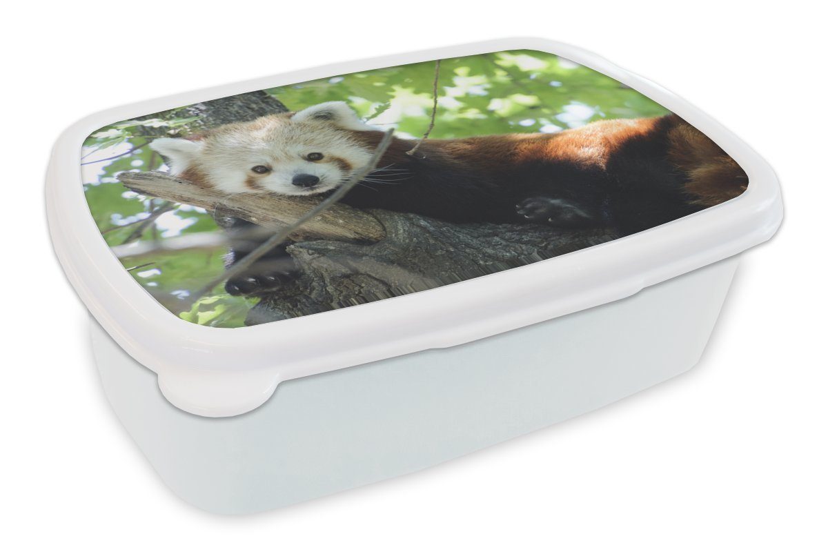 MuchoWow Lunchbox Roter Panda - Baum - Grün, Kunststoff, (2-tlg), Brotbox für Kinder und Erwachsene, Brotdose, für Jungs und Mädchen weiß