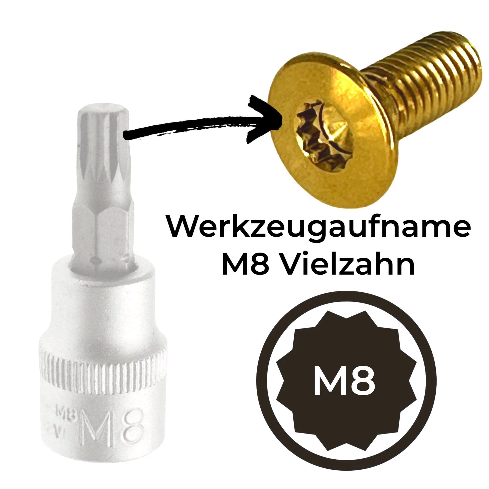 M8 x23 Türschlossplatte Senkkopfschraube Titan 1 VAG Schrauben-Set x Gold für Fantic26 Vielzahn
