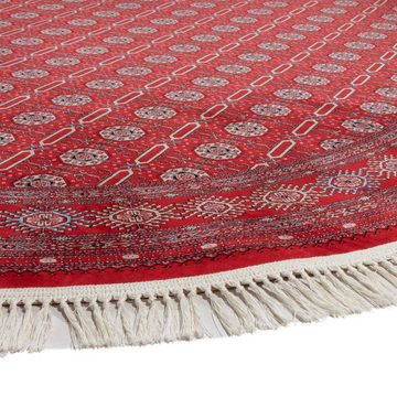 Orientteppich Orientteppich - Turkaman - rechteckig, morgenland, oval, Höhe: 8 mm