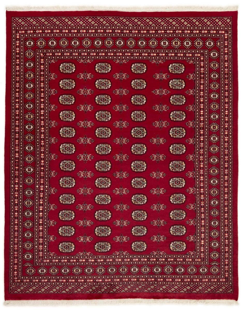 rechteckig, Buchara 2ply Orientteppich Nain 8 Pakistan Höhe: Handgeknüpfter Orientteppich, mm Trading, 199x247