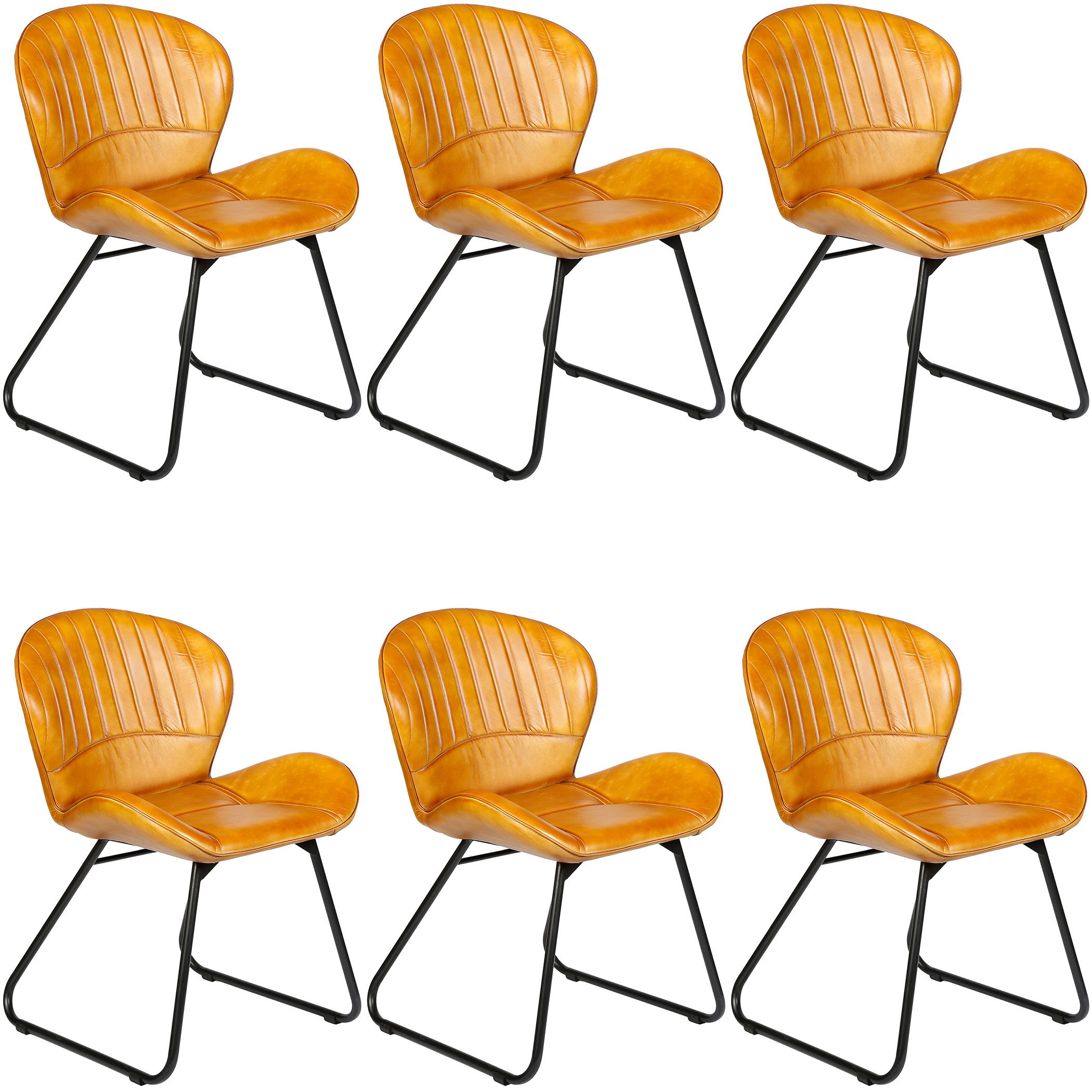 Casa Moro Polsterstuhl Esszimmerstuhl Leder Cognac günstig online kaufen