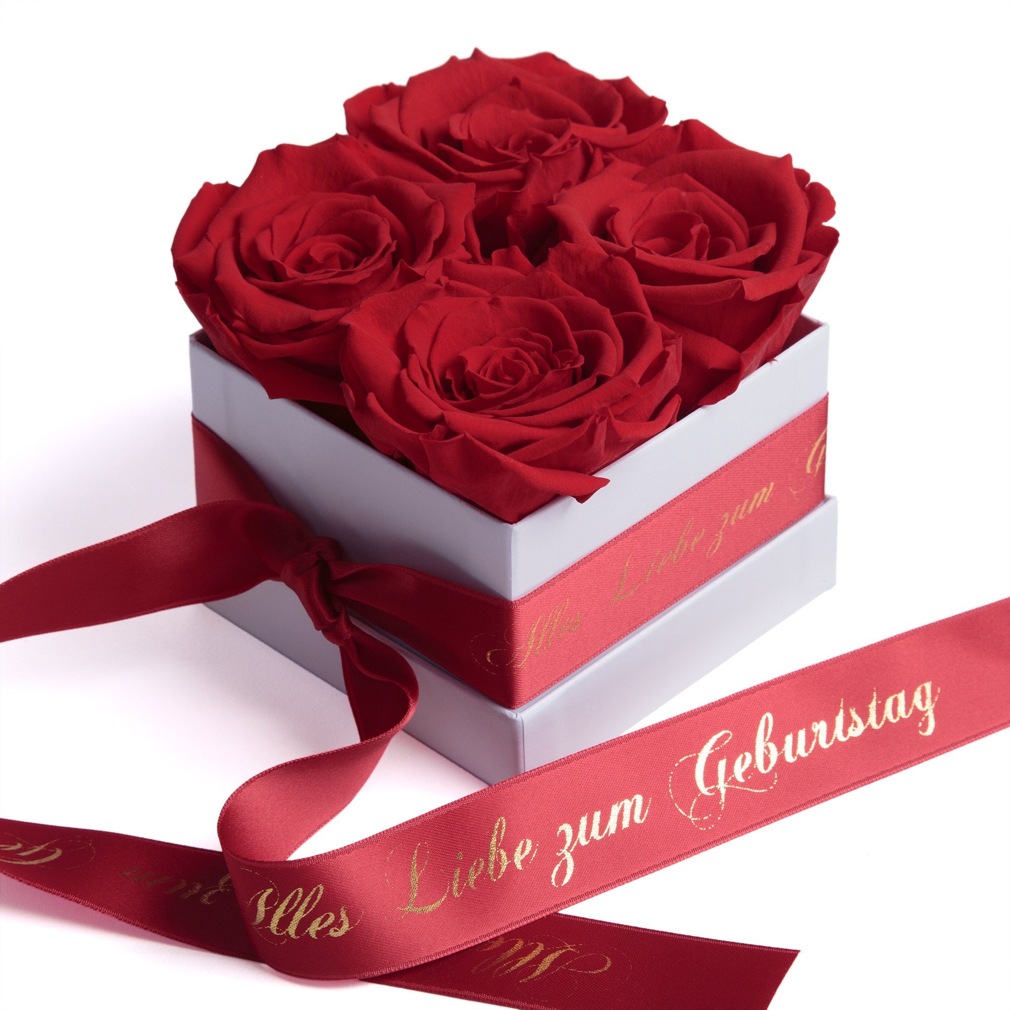 ROSEMARIE SCHULZ Heidelberg Geburtstag bis haltbar Blumen Infinity Dekoobjekt Echte Rose zum zu rot Alles 3 Geschenk, Jahre Rosenbox Liebe
