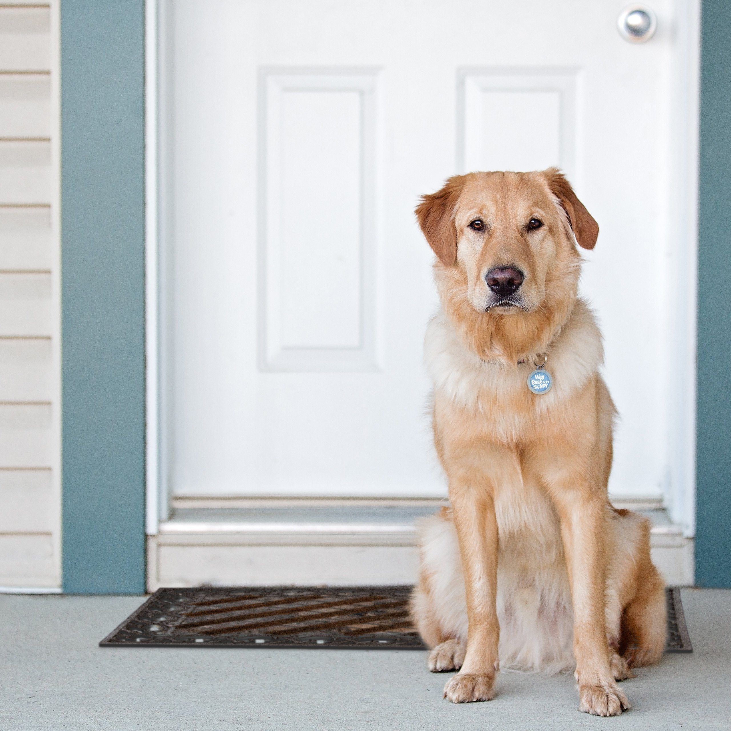 relaxdays Fußmatte Fußabtreter Gusseisen, Höhe: 40 mm, A