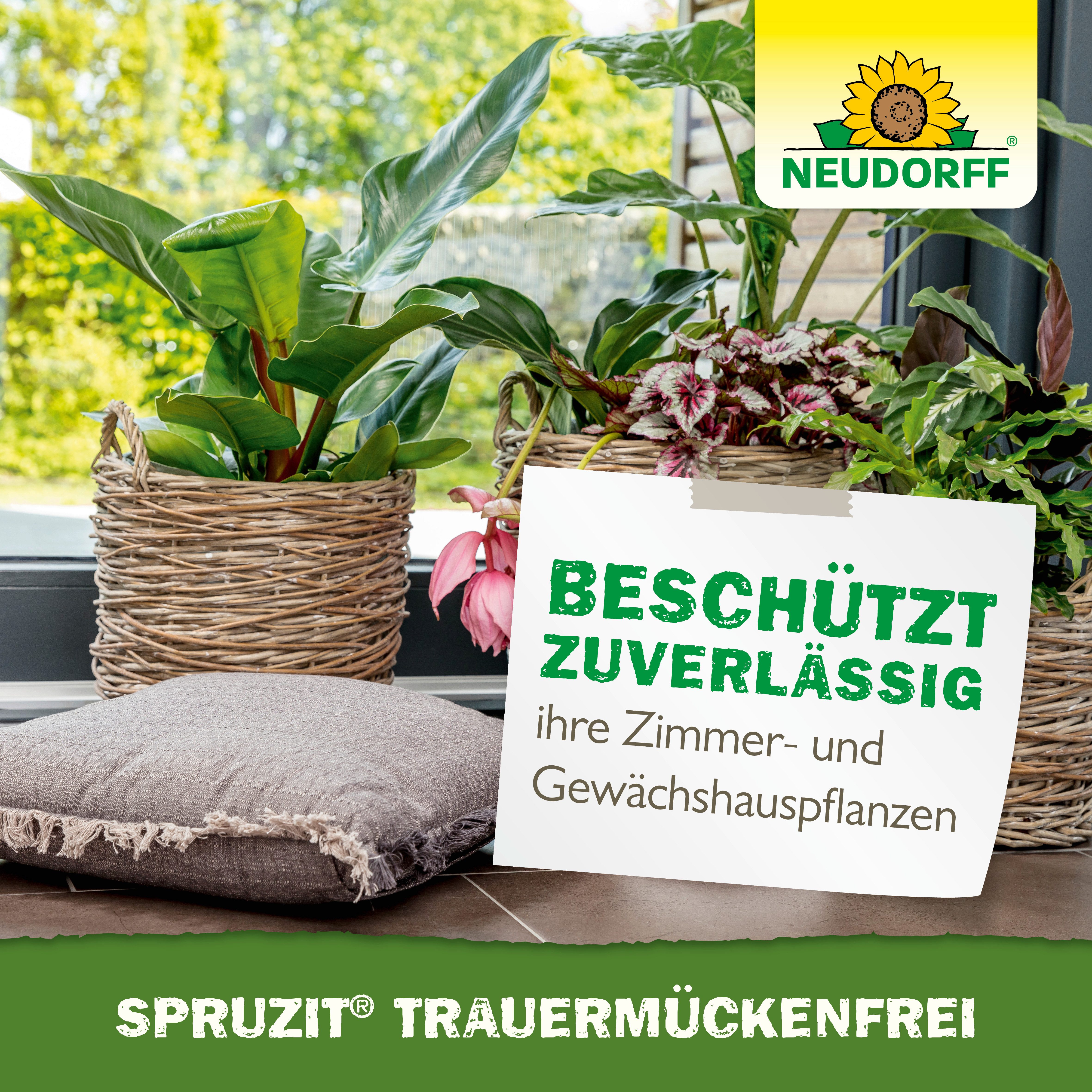 Neudorff Insektenspray Spruzit Trauermückenfrei 30 ml - zum gießen für 60 Pflanzen, 30 ml, 30 ml ausreichend für bis zu 60 Pflanztöpfe, Gießanwendung zur Bekämpfung von Trauermückenlarven, Gießkonzentrat gegen Trauermückenlarven für bis zu 60 Töpfe