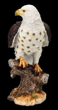 Figuren Shop GmbH Tierfigur Adler Figur - Ruhe vor der Jagd - Dekofigur Tierfigur Vogel Dekoration