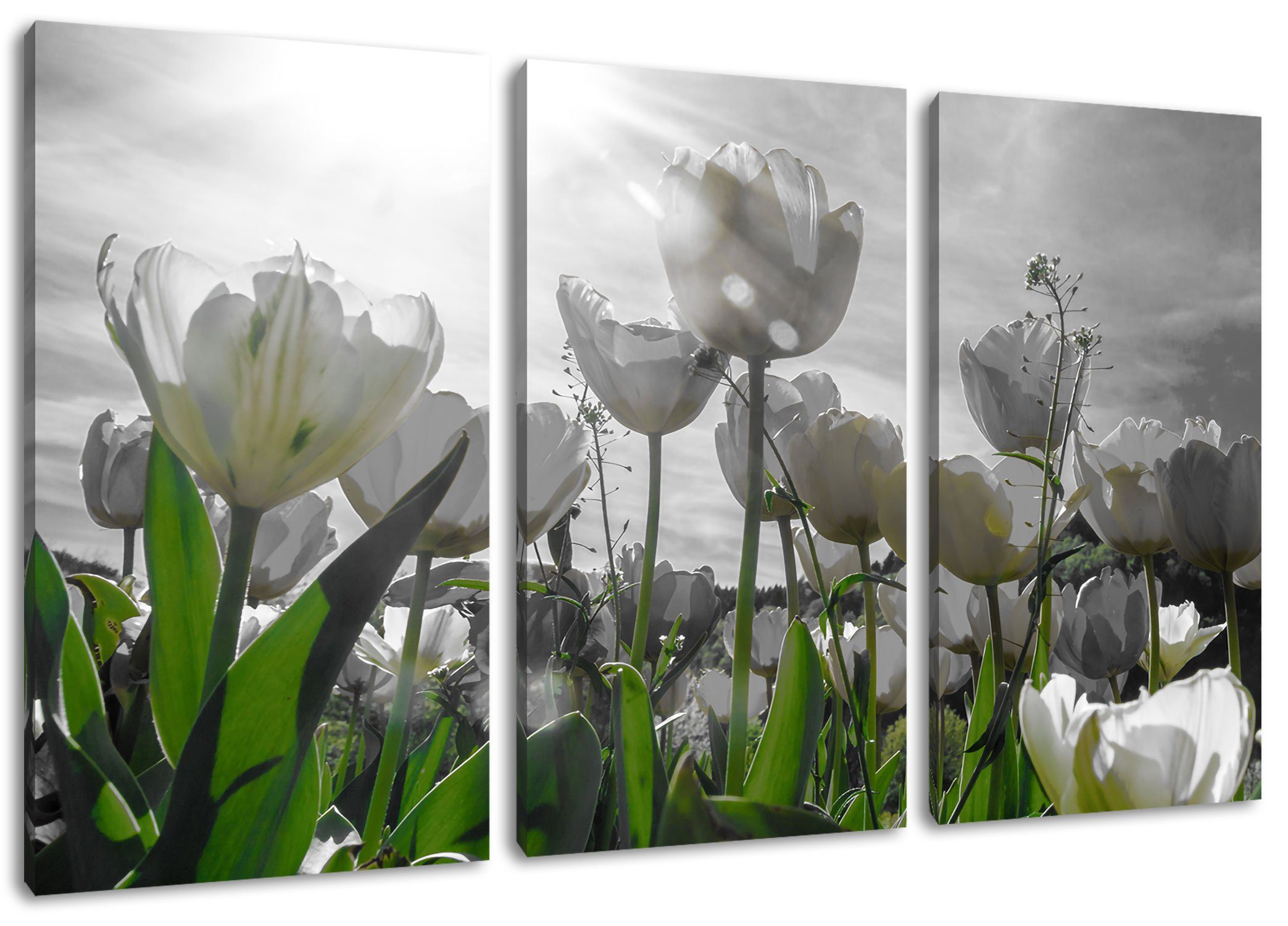 Pixxprint Leinwandbild wunderschöne Tulpenwiese, wunderschöne Tulpenwiese 3Teiler (120x80cm) (1 St), Leinwandbild fertig bespannt, inkl. Zackenaufhänger