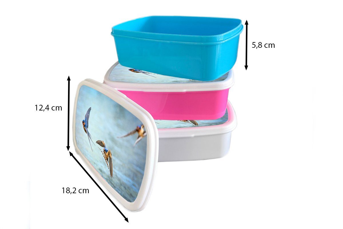 Brotbox Erwachsene, Schwalbe Brotdose Wasser MuchoWow Lunchbox Kinder, für (2-tlg), Mädchen, Blau, Snackbox, Kunststoff - - Kunststoff, rosa