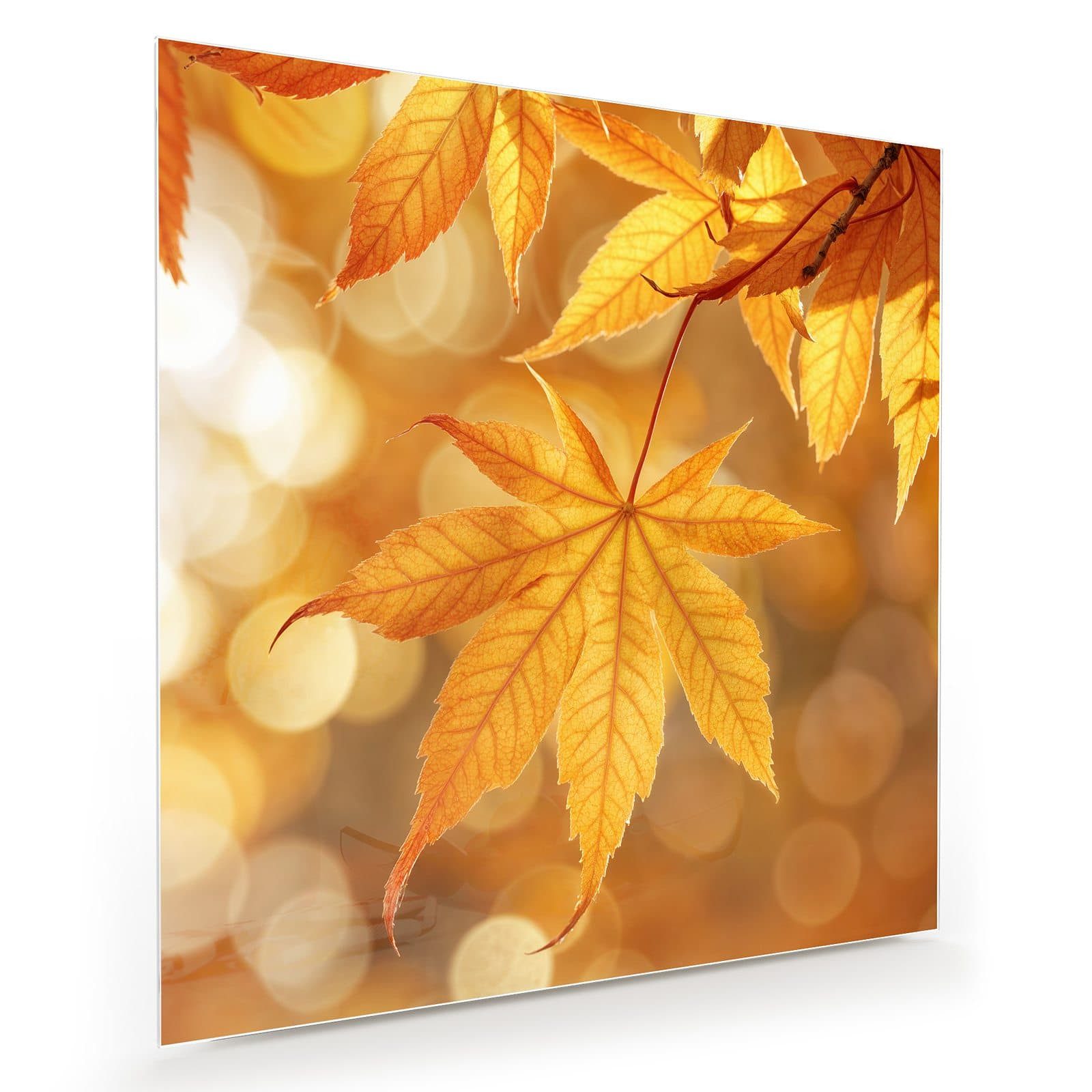Primedeco Glasbild Wandbild Quadratisch Herbstlich Glitzernd mit Aufhängung, Jahreszeiten (21 verschiedene Größen, 1 St), Elegante Aufhängung