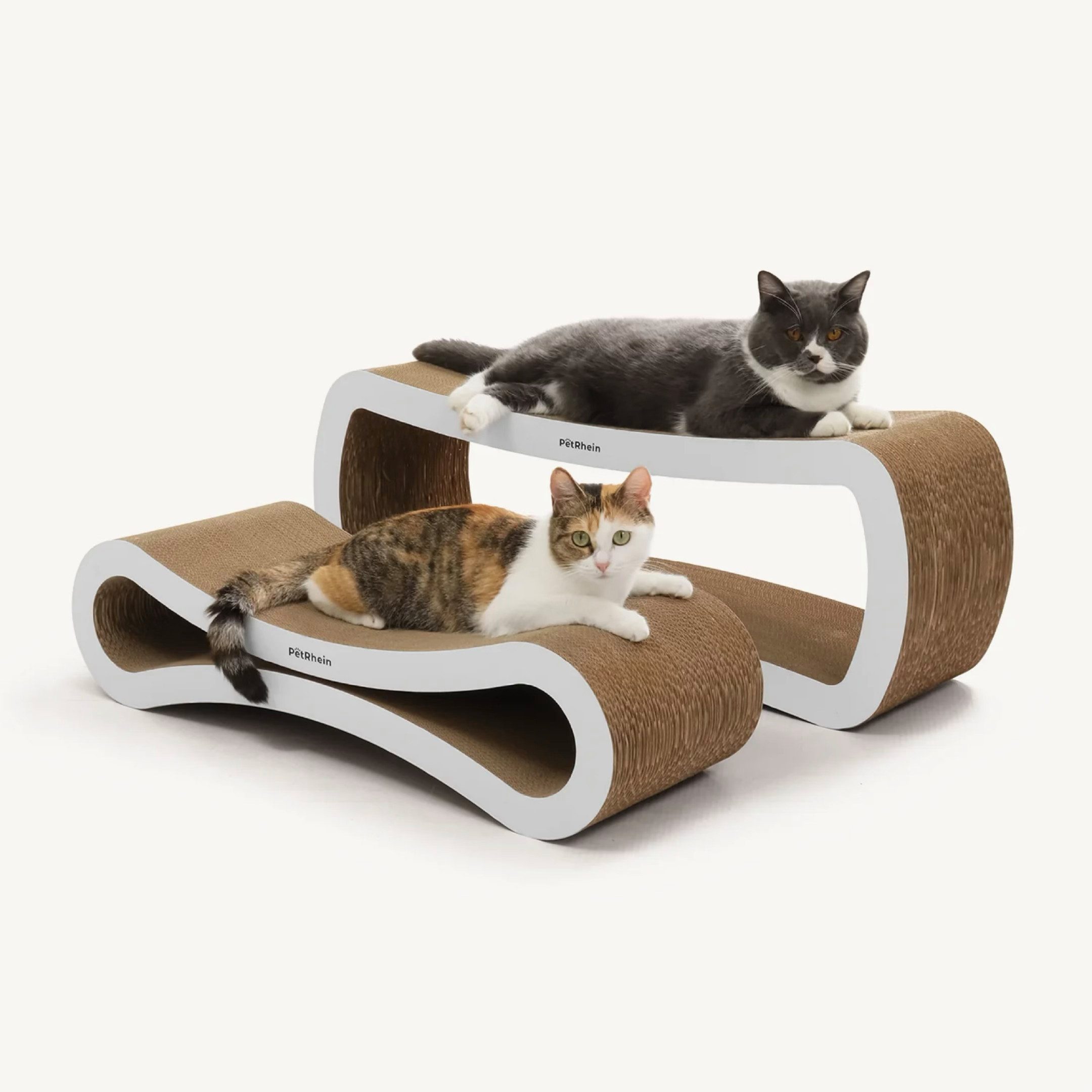 Kratzpappe Ascent Paw Series