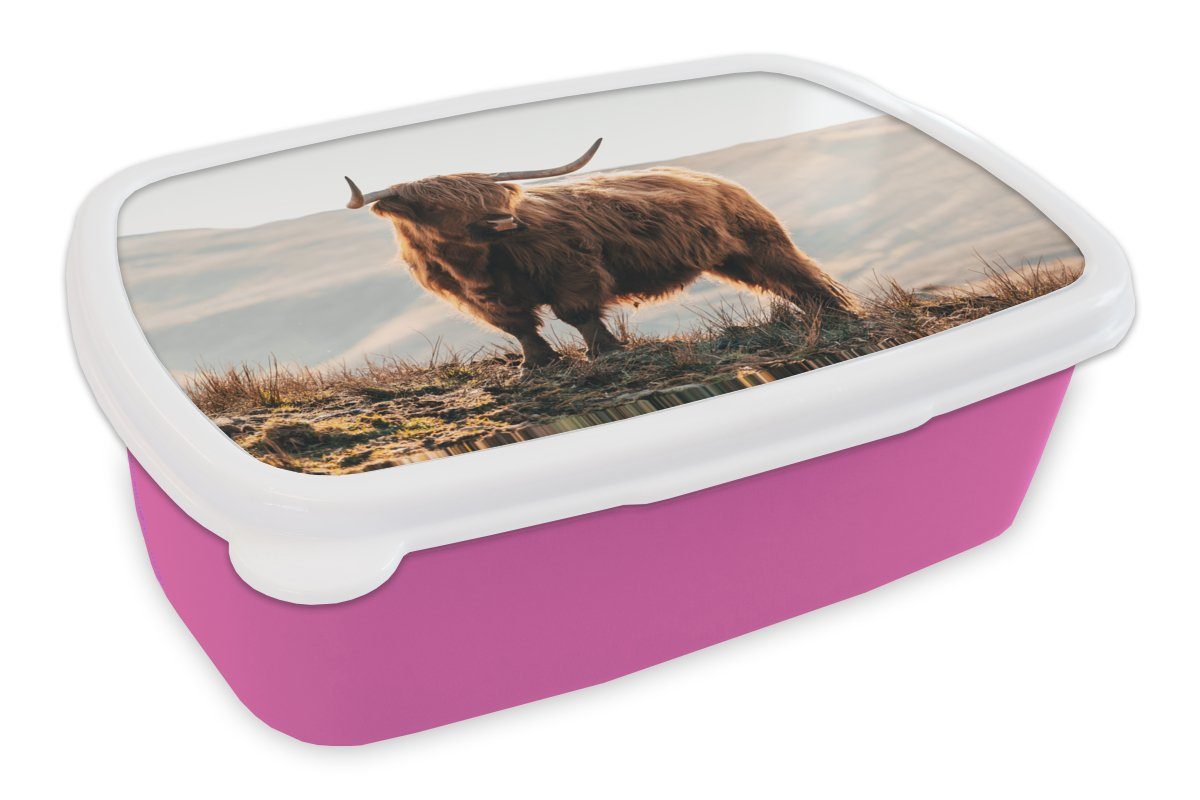 MuchoWow Lunchbox Schottische Highlander - Tiere - Ländlich - Landschaft - Kuh - Natur, Kunststoff, (2-tlg), Brotbox für Erwachsene, Brotdose Kinder, Snackbox, Mädchen, Kunststoff rosa