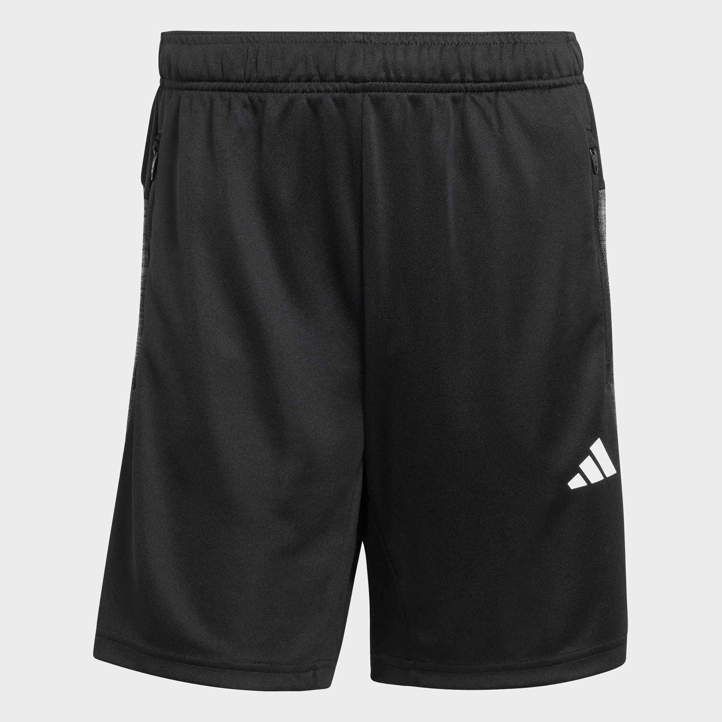 Shorts WORKOUT ESSENTIALS ALL-SET
