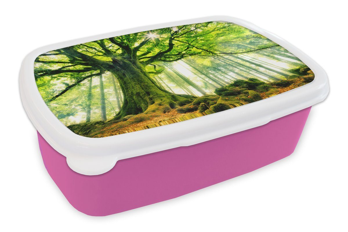 MuchoWow Lunchbox für Brotdose alte Kunststoff, rosa Kunststoff (2-tlg), grün Mädchen, Buche Eine Brotbox Erwachsene, Snackbox, Ästen, Kinder, mit gefärbten