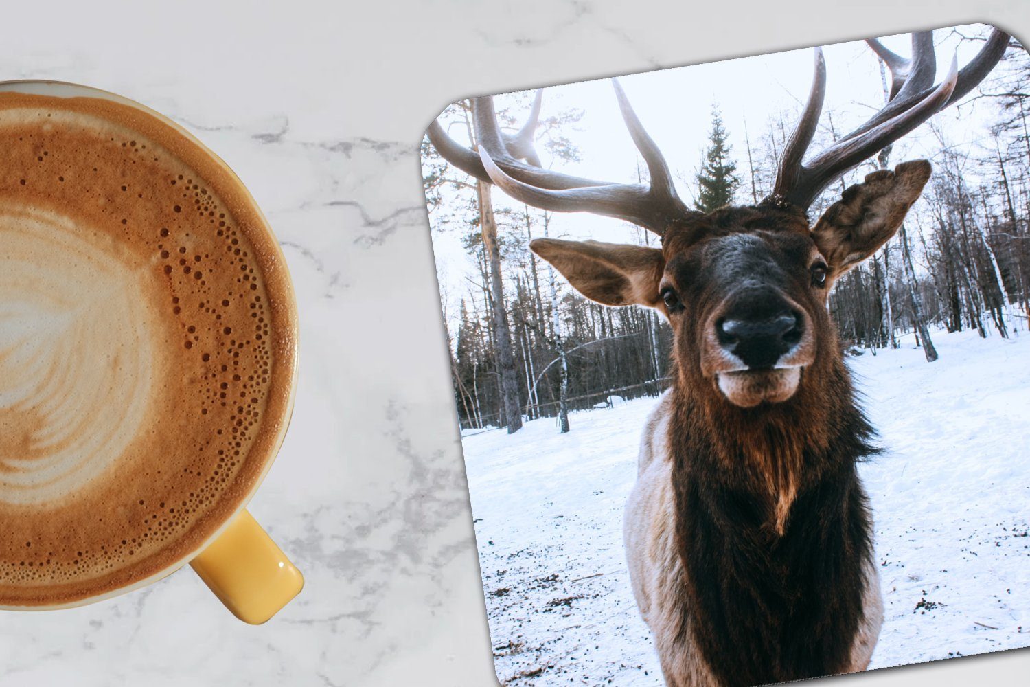 MuchoWow Glasuntersetzer Rotwild - für Glasuntersetzer, Tasse Schnee Tischuntersetzer, - Korkuntersetzer, 6-tlg., Untersetzer, Zubehör Geweih, Gläser