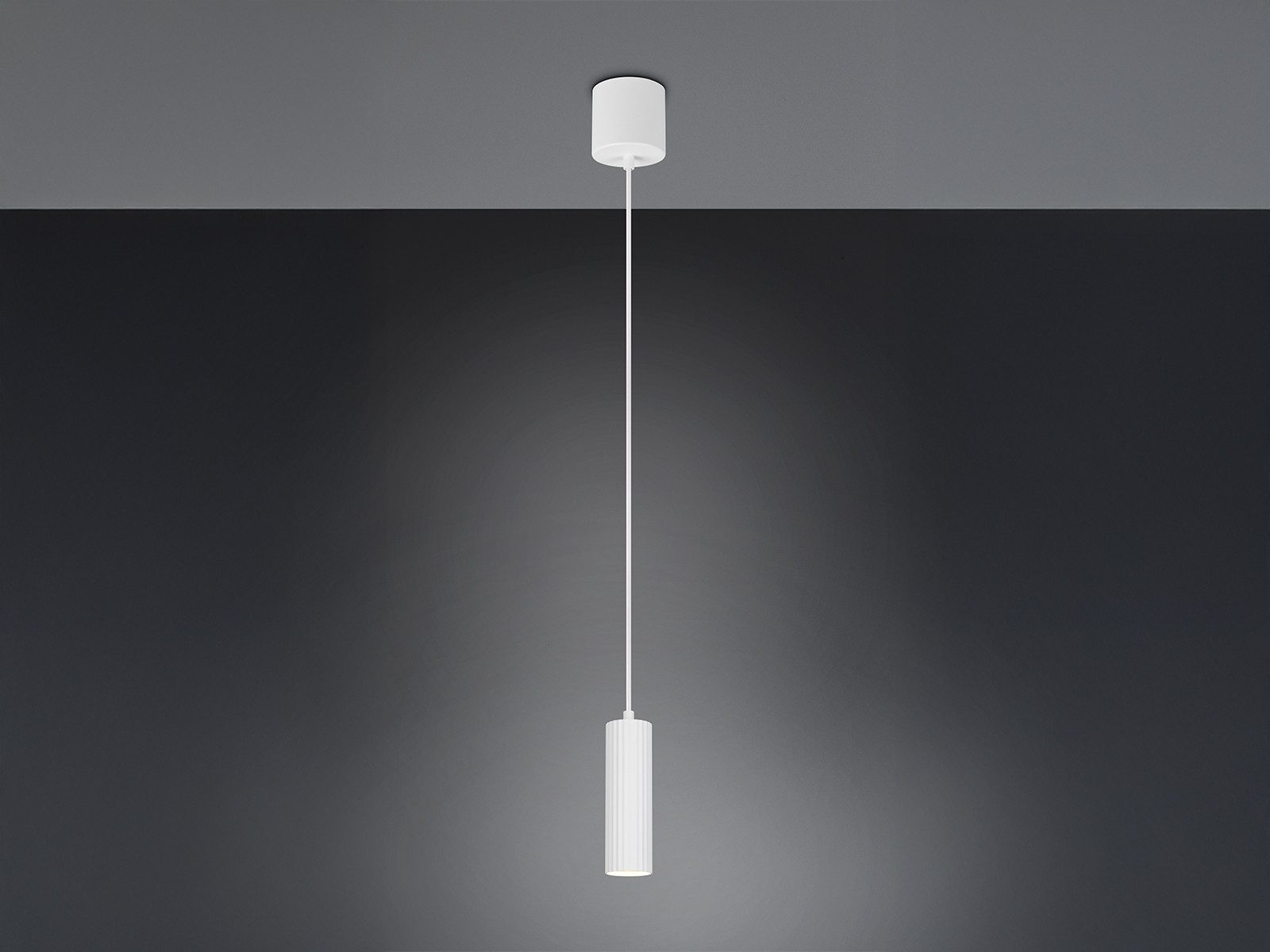 TRIO Leuchten LED Pendelleuchte, Dimmfunktion, LED günstig online kaufen